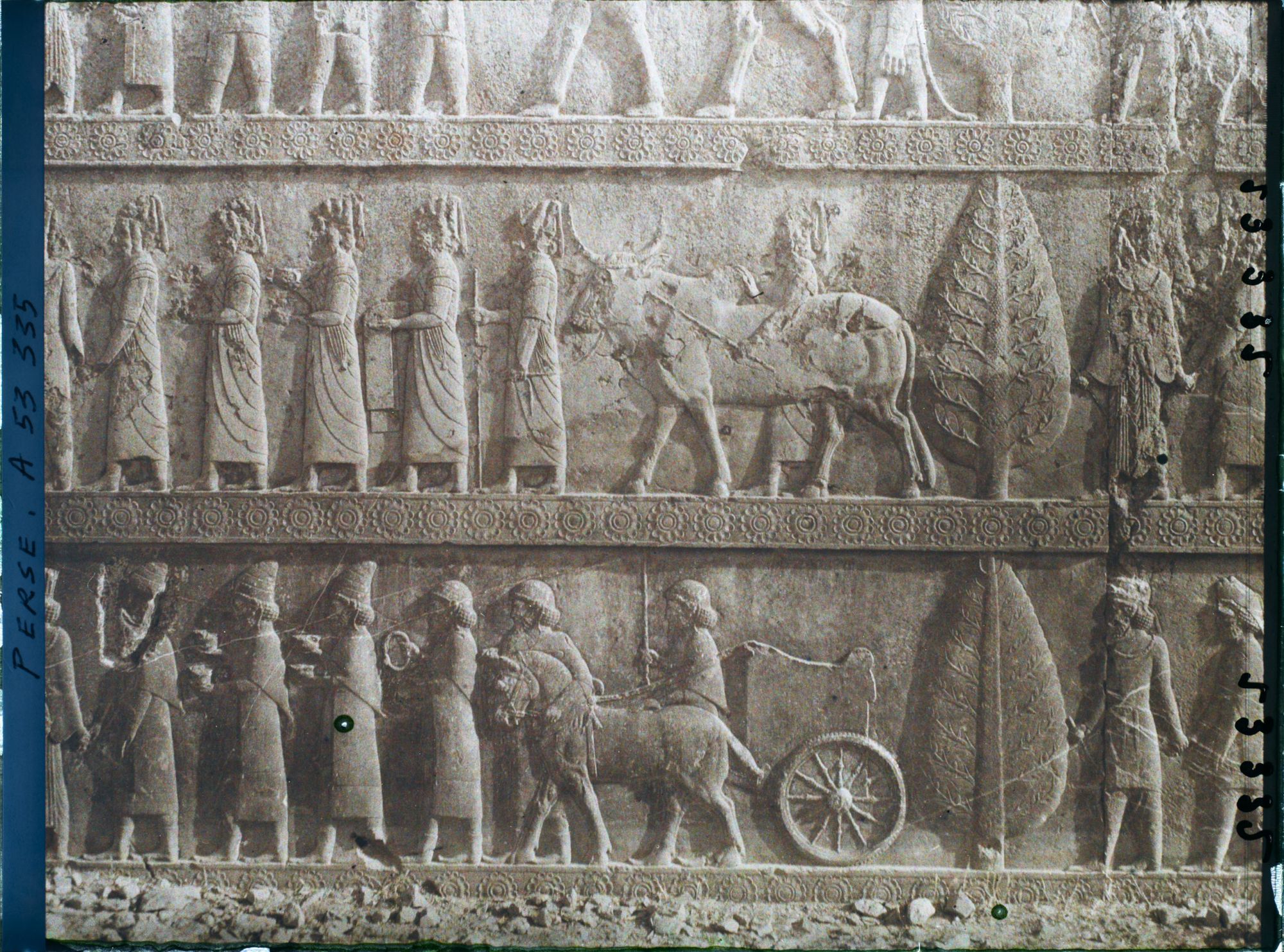 Image représentant Escalier nord de l'Apadana, détail de la procession des tributaires