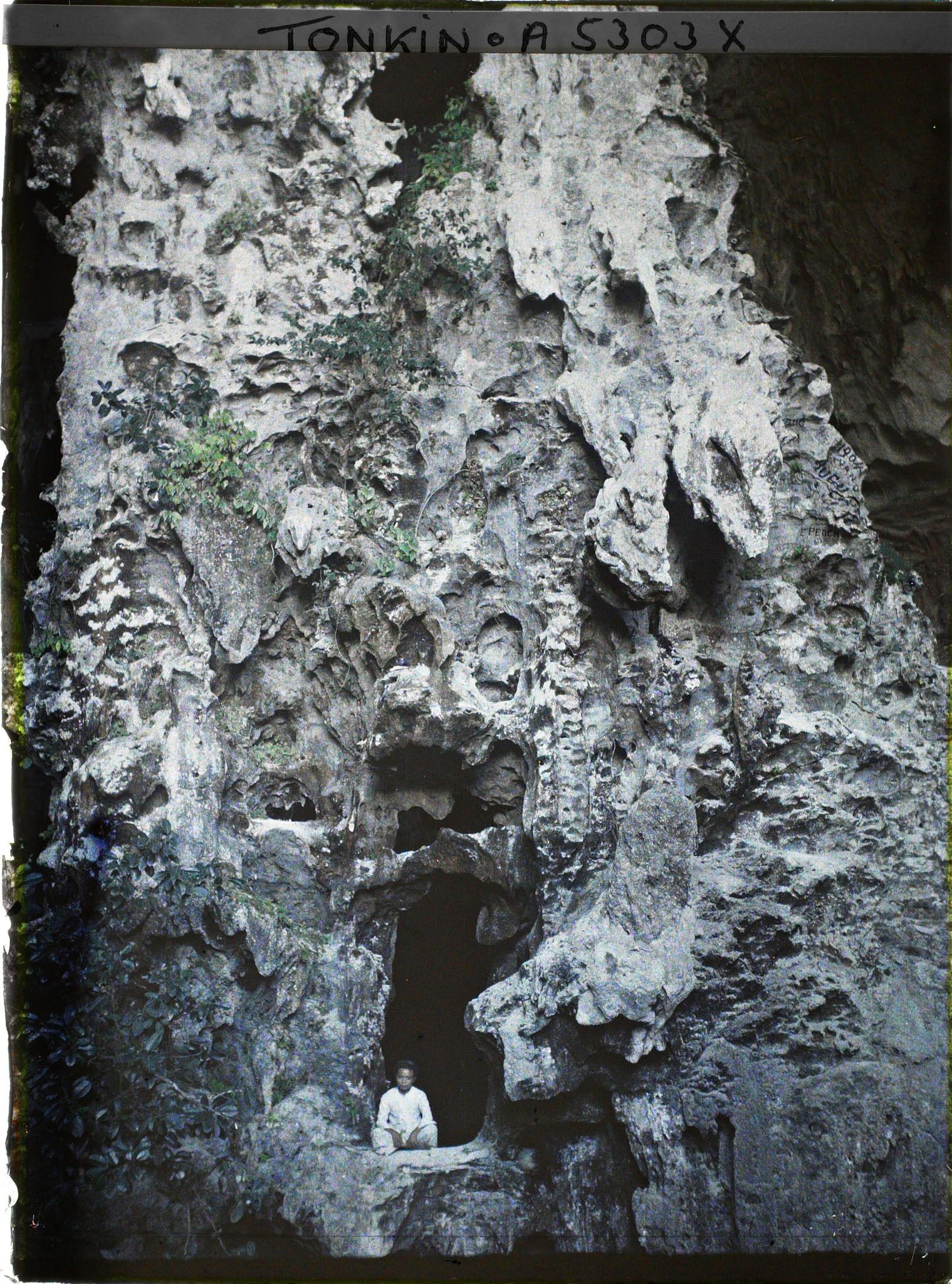 Image représentant L'intérieur de la " Grotte des Merveilles "