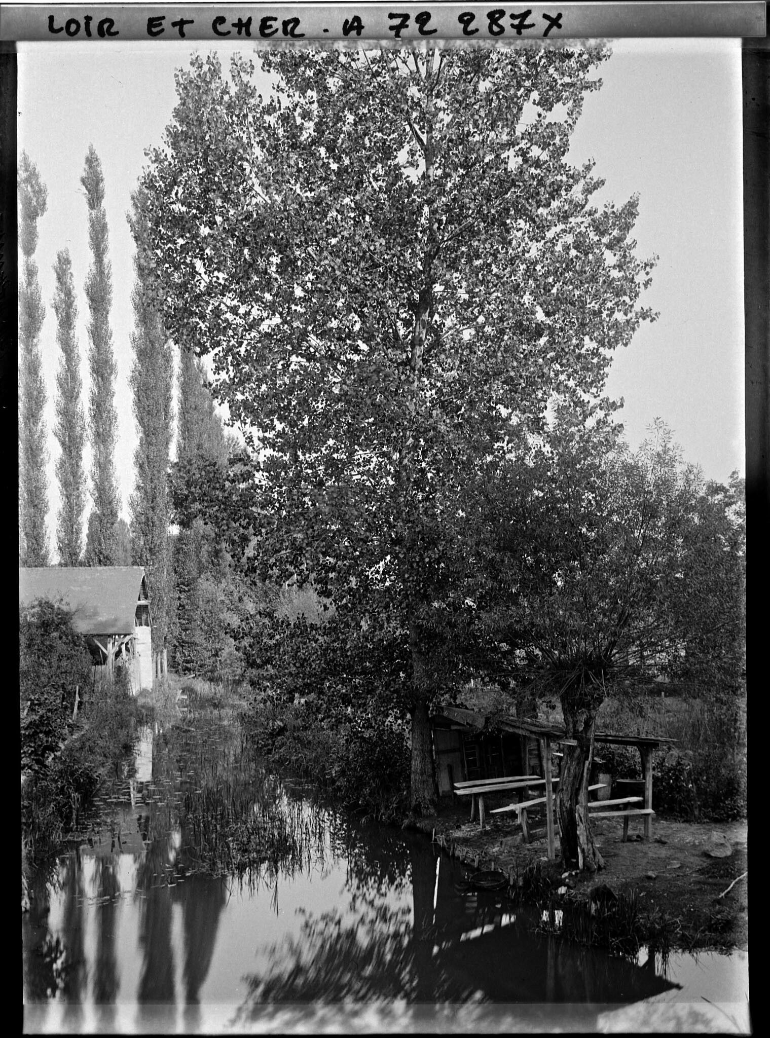 Image représentant Un coin d'étang