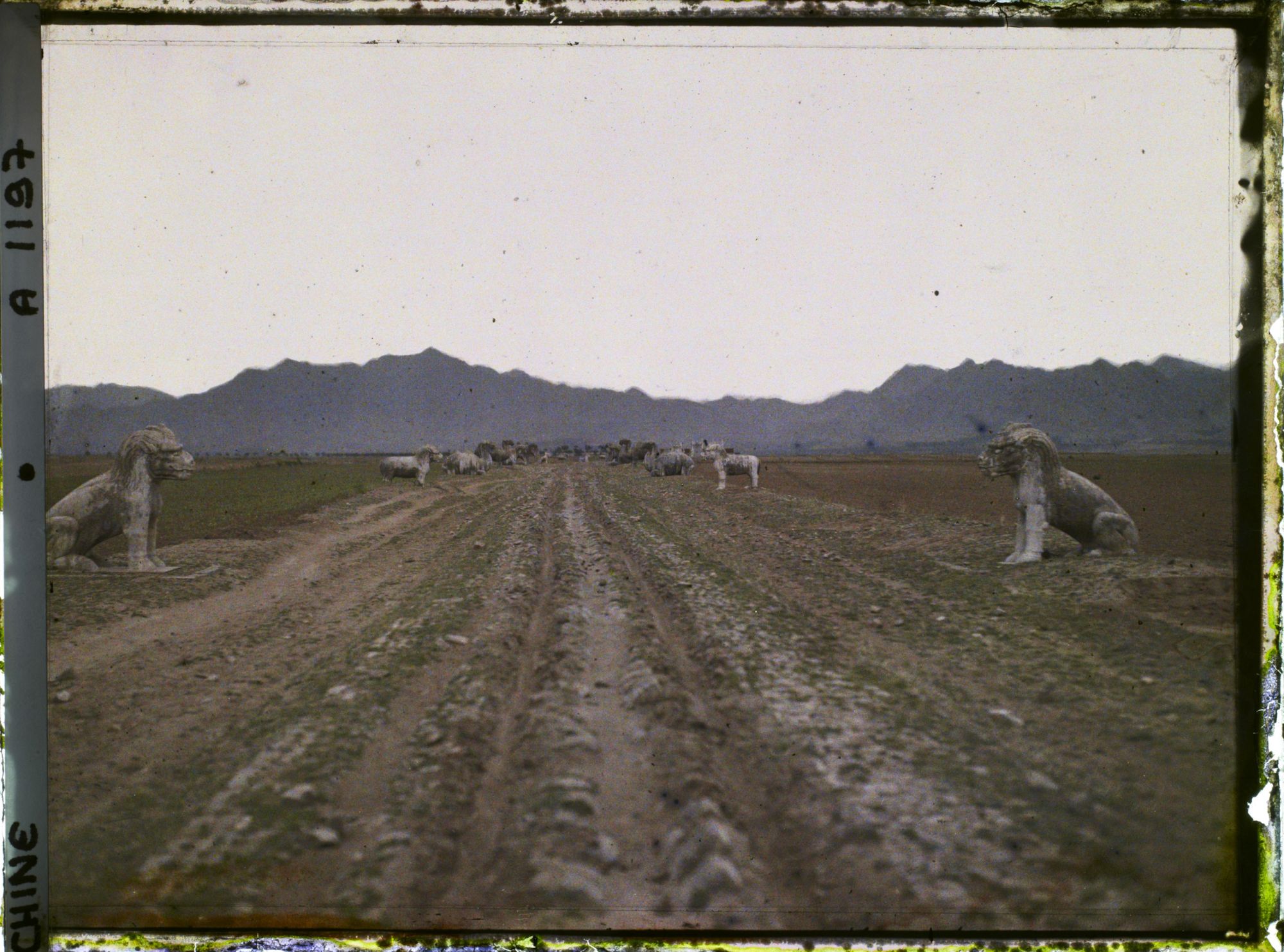 Image représentant Ming Shisanling (" Treize Tombeaux des Ming ")