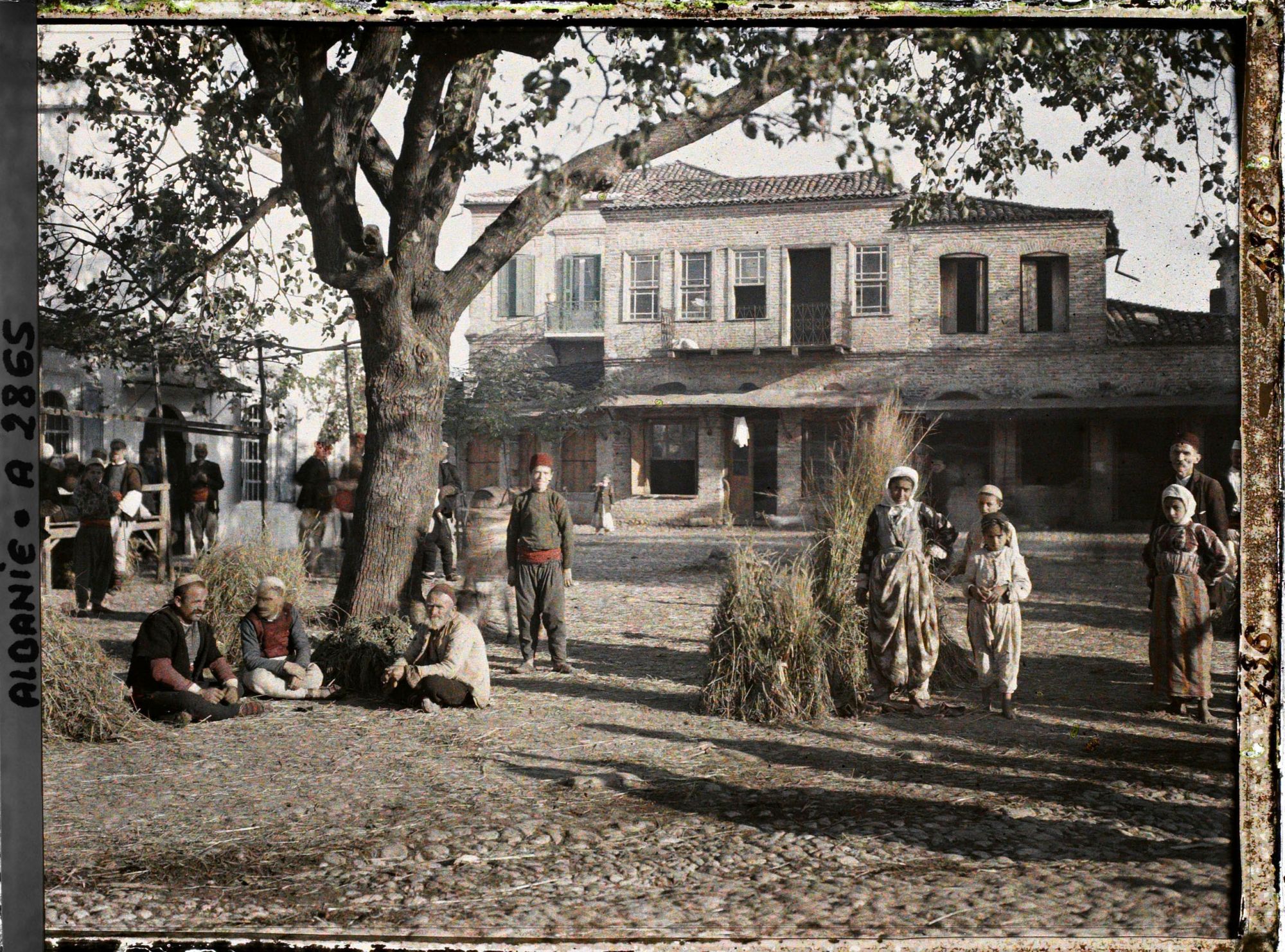 Image représentant Les vendeurs de fourrage