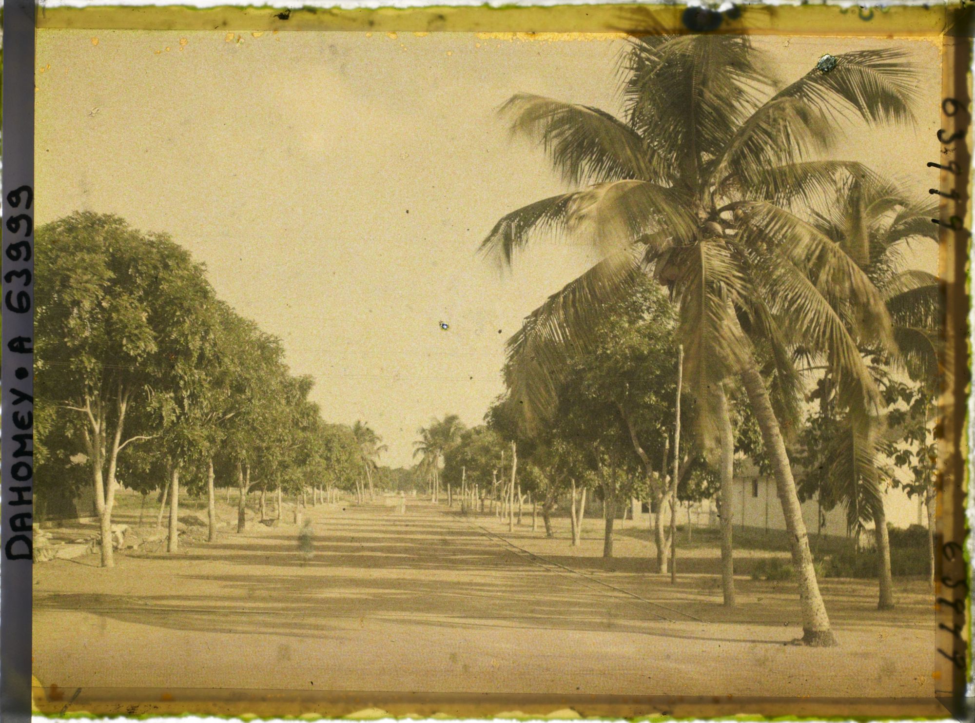 Image représentant L'avenue d'Awansoli dans le quartier européen