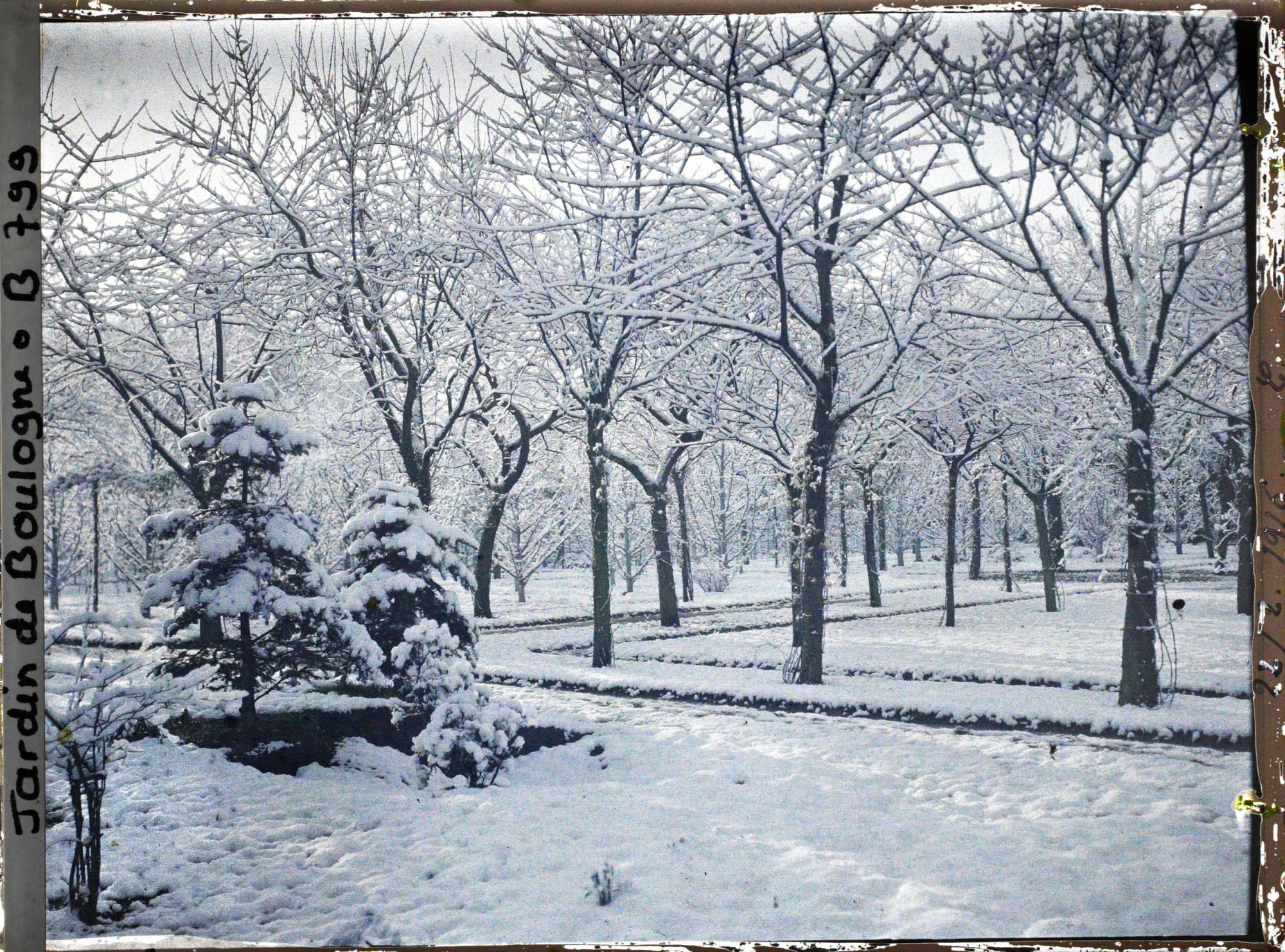 Image représentant Le verger-roseraie sous la neige traversé du nord au sud par une allée proche de la dépendance