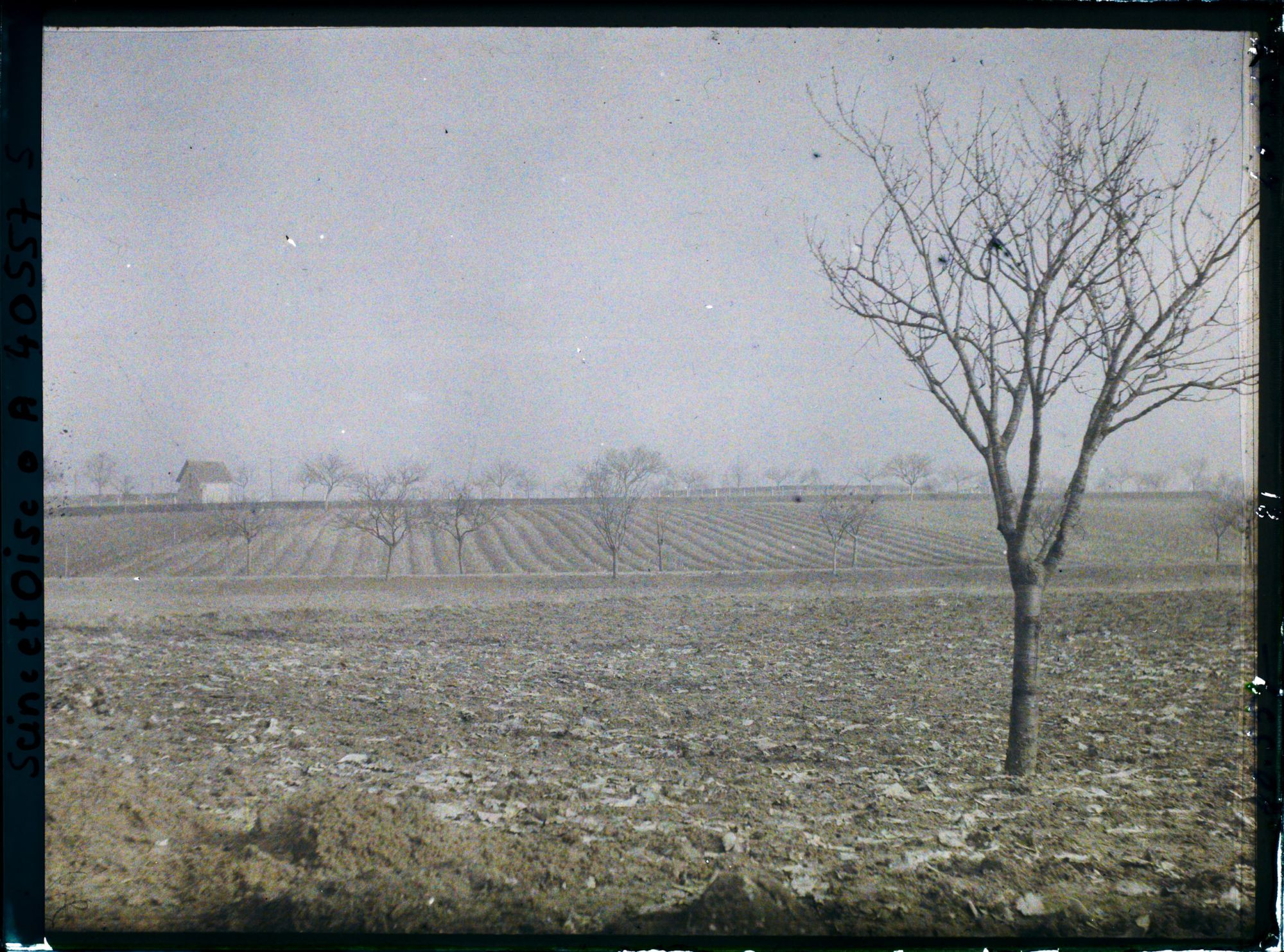 Image représentant France, Les Clayes, Champ sur la route de