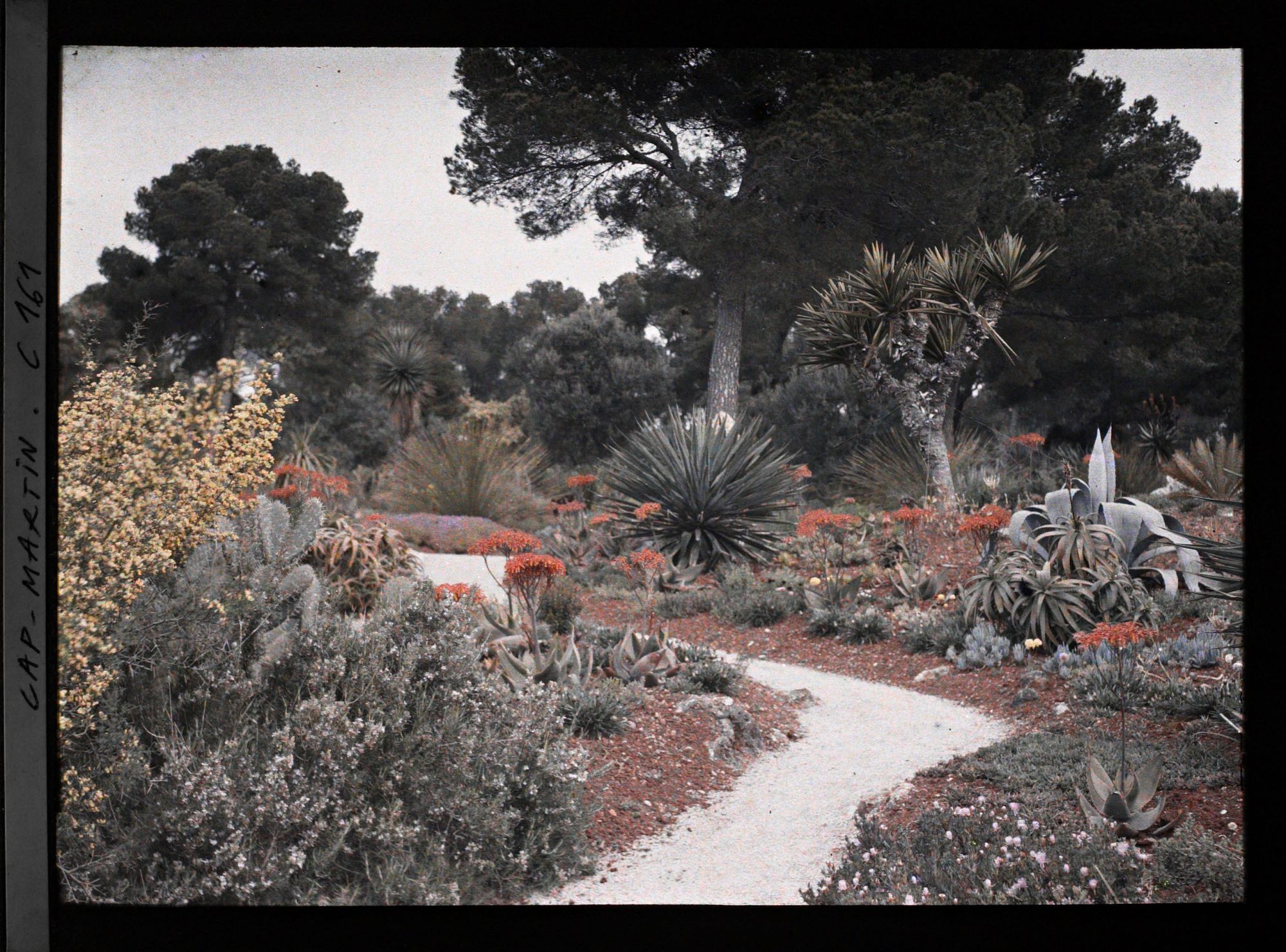 Image représentant Cap Martin - Le Jardin