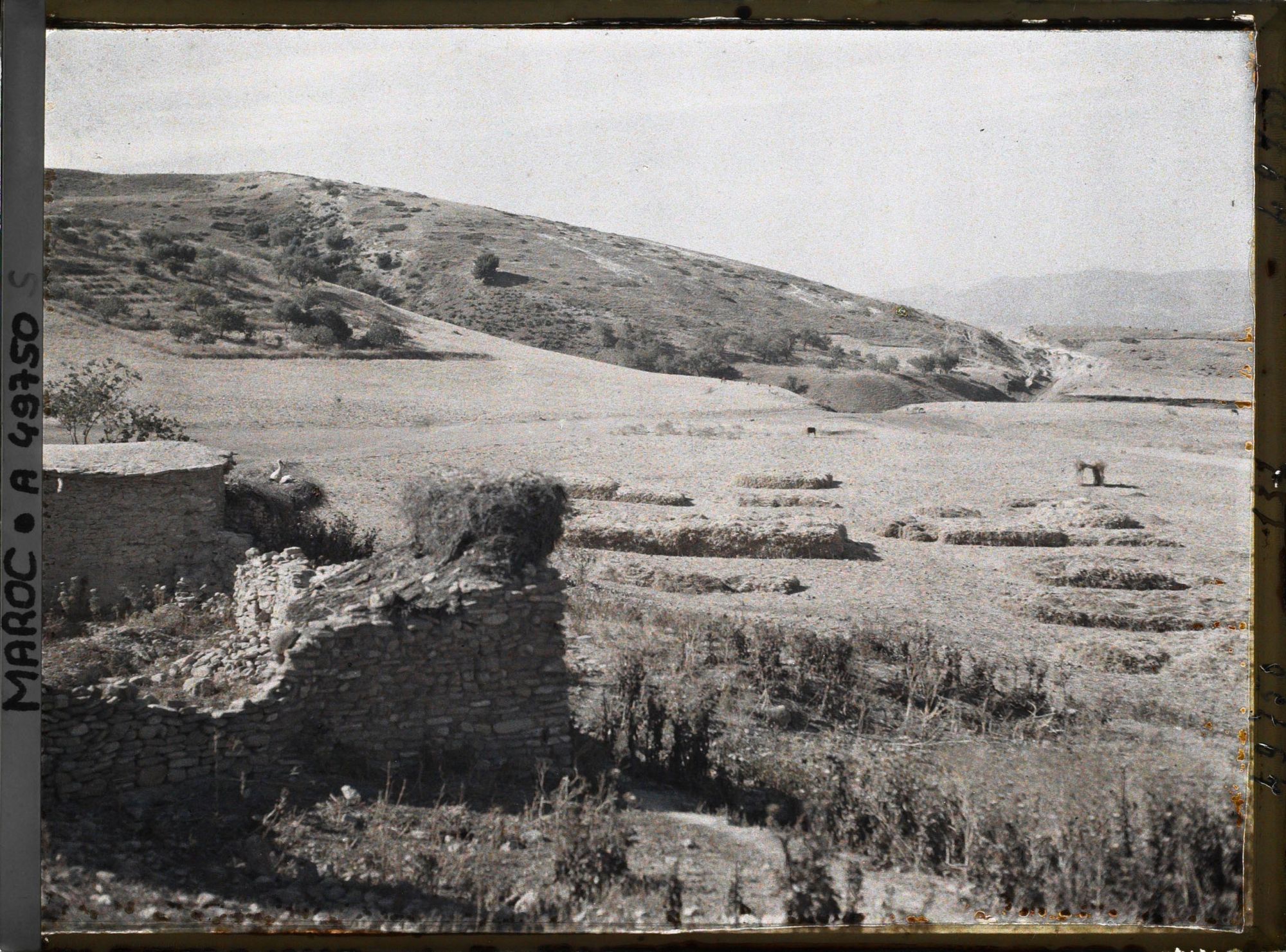 Image représentant Un coin du village, à gauche un nid à cigognes