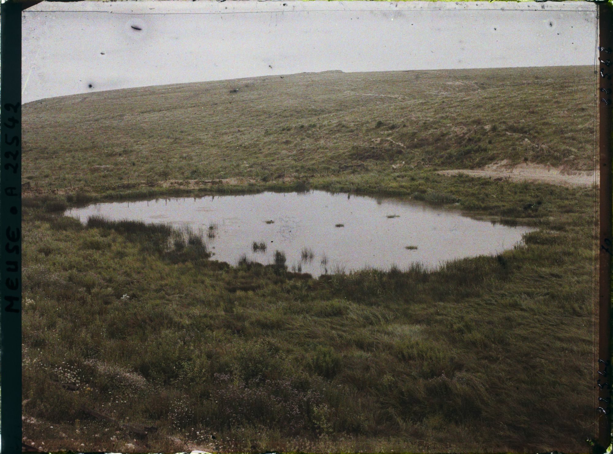 Image représentant France, Vaux, L'étang de Vaux dans le fond, le fort de Vaux