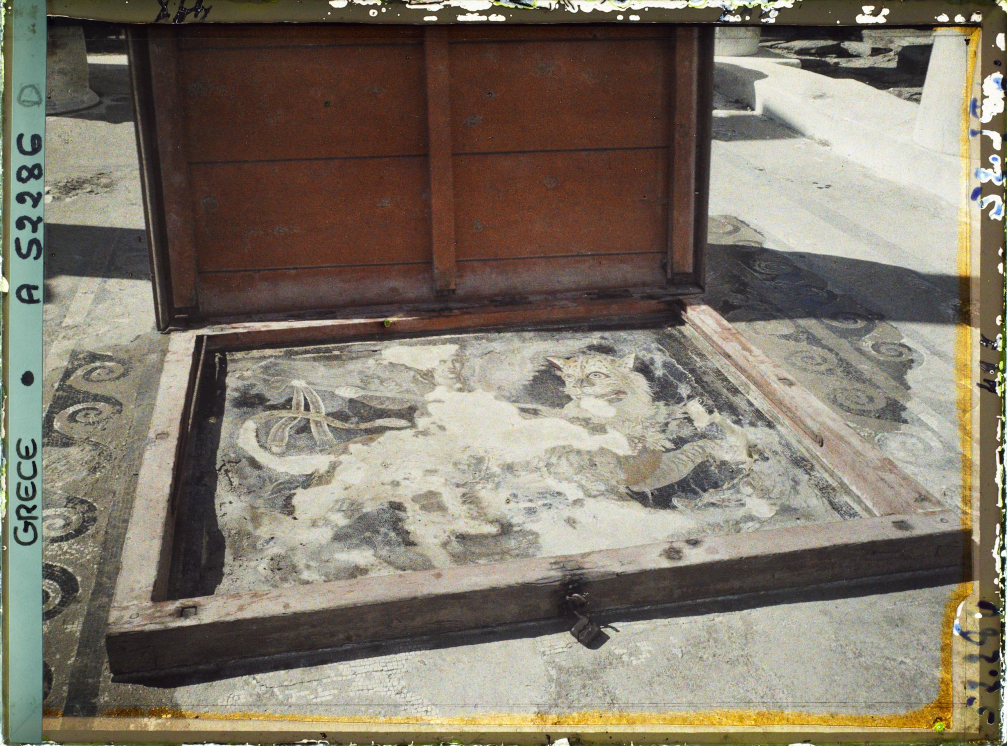 Image représentant Maison du Dionysos (la Mosaïque)