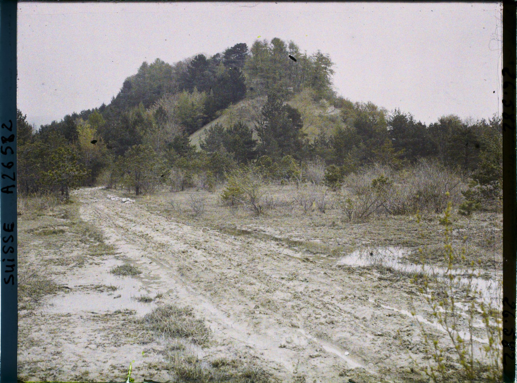 Image représentant L'île Saint-Pierre
