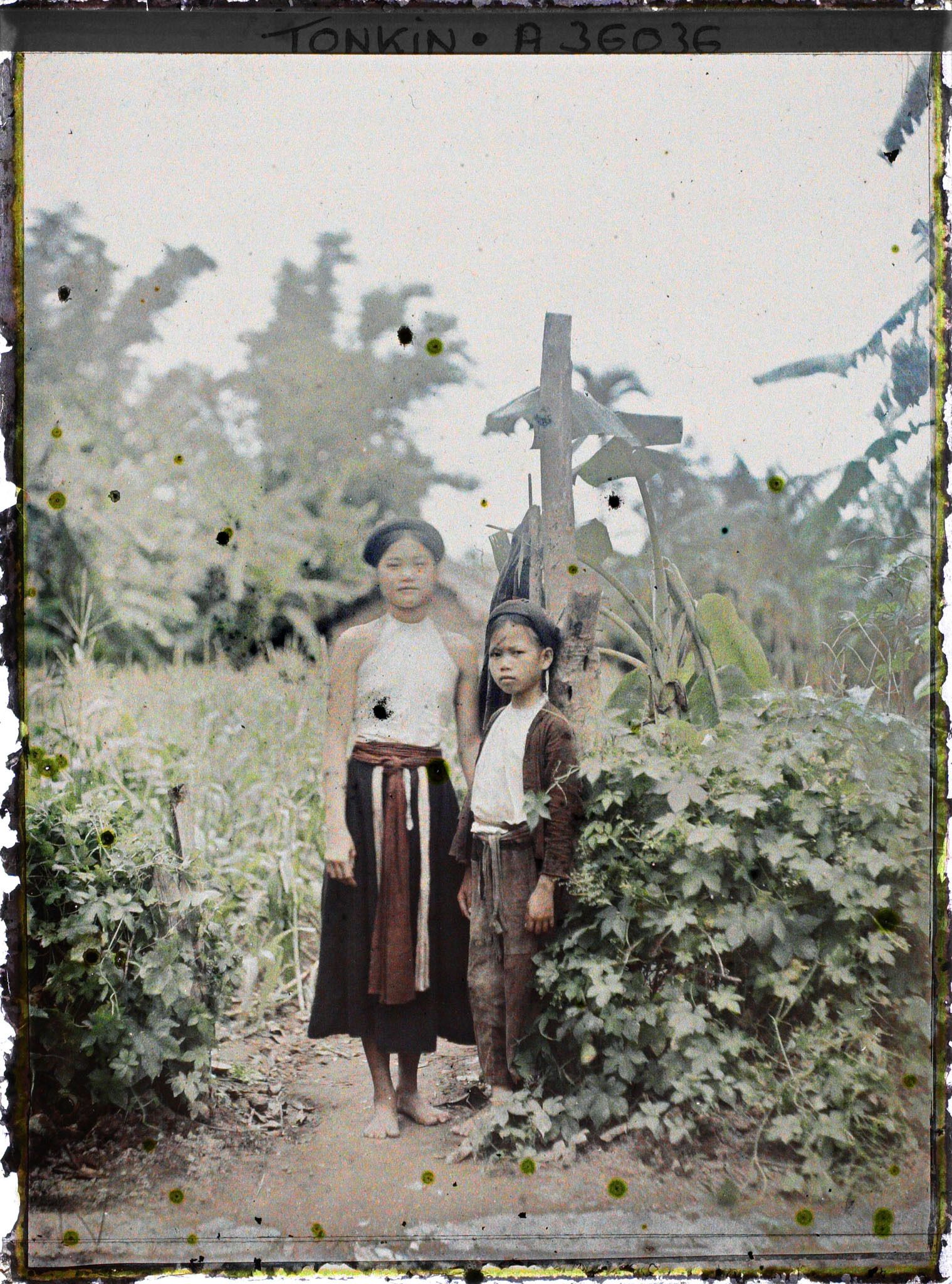 Image représentant Deux jeunes filles devant un champ de maïs bordé de bananiers