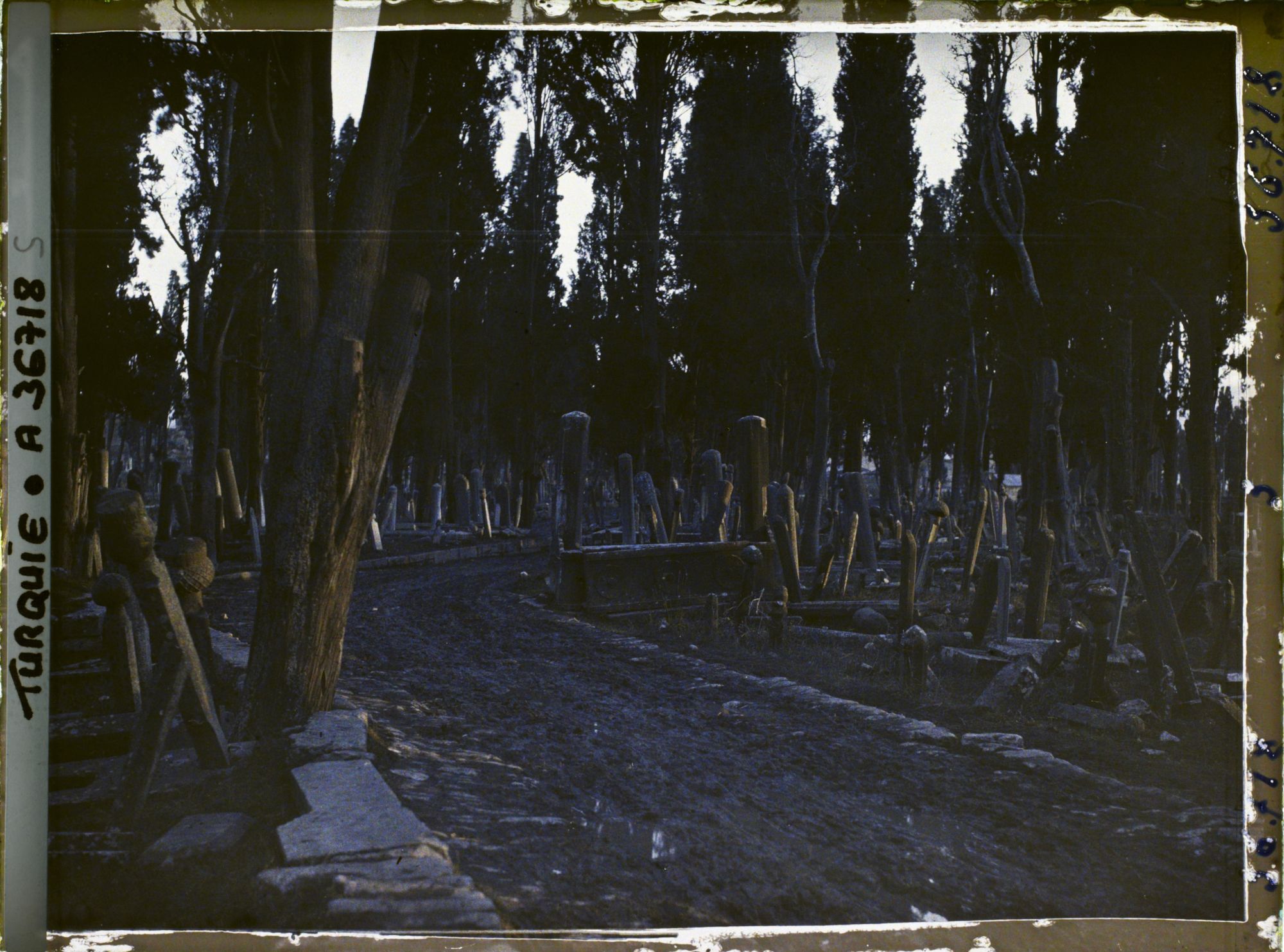 Image représentant Turquie, Constantinople, Soleil Couchant au Cimetière de Teckfour- Seraï