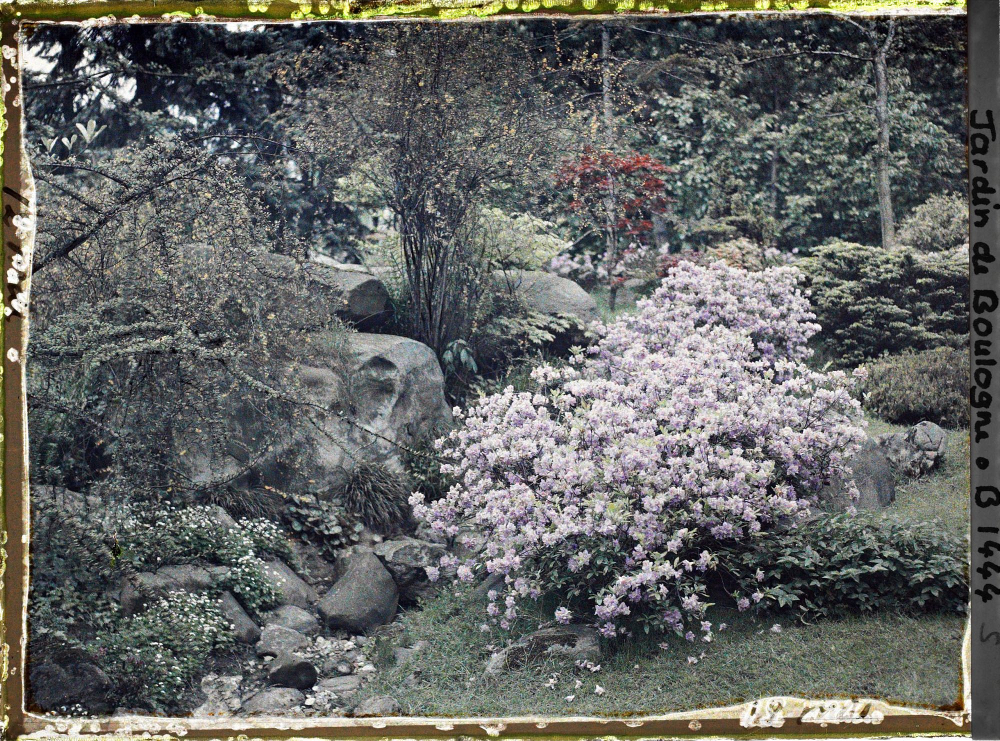Image représentant Chaos de pierres fleuri, situé à l'ouest du " village japonais " ?