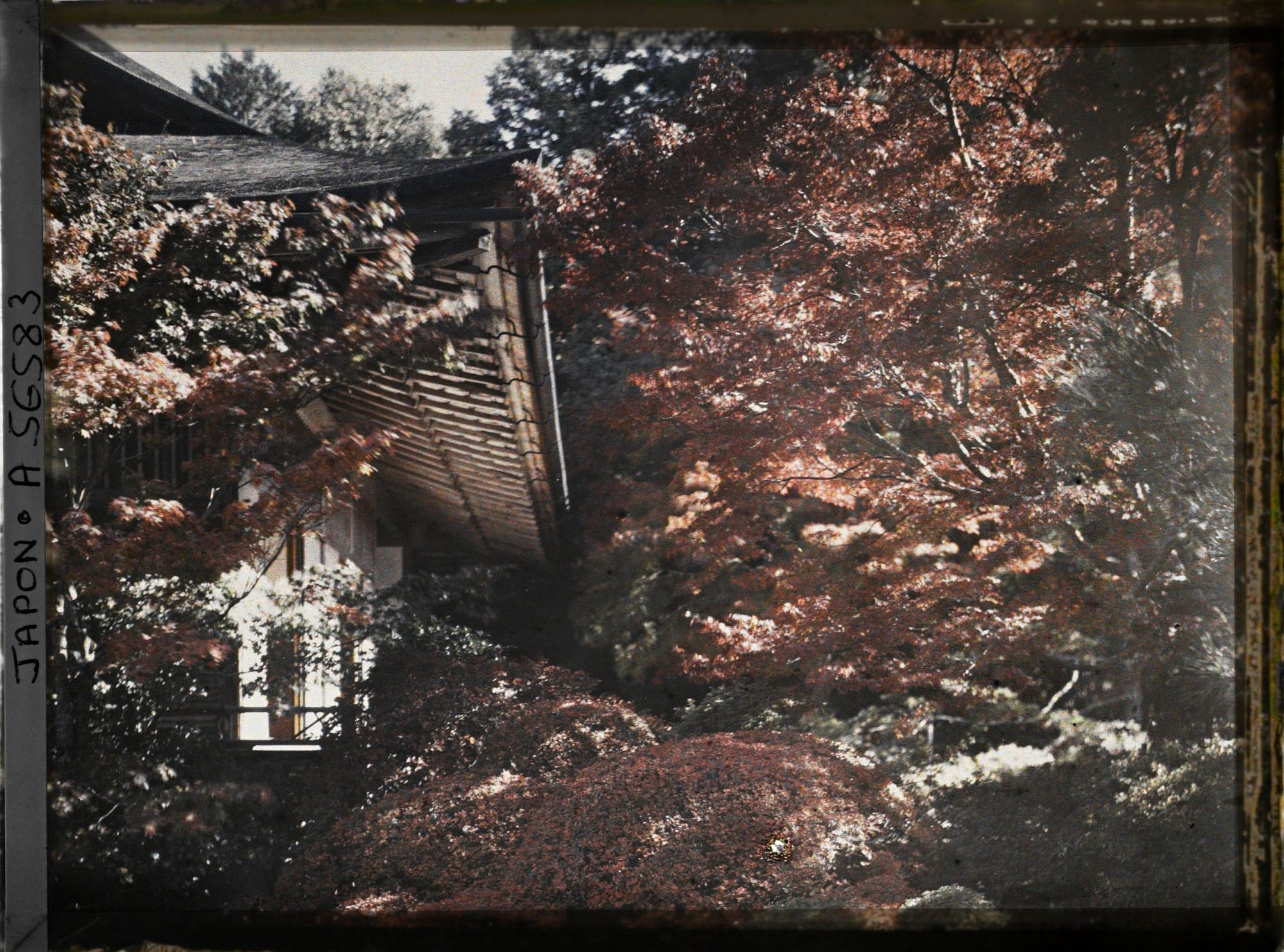 Image représentant La villa impériale Shugakuin Rikyû : le Kyaku-den