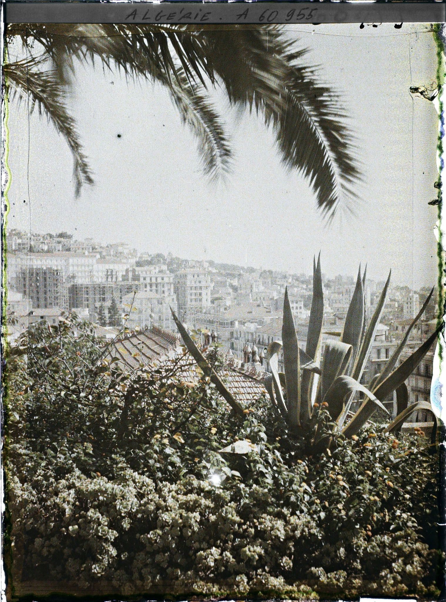 Image représentant La ville haute vue du parc de Galland