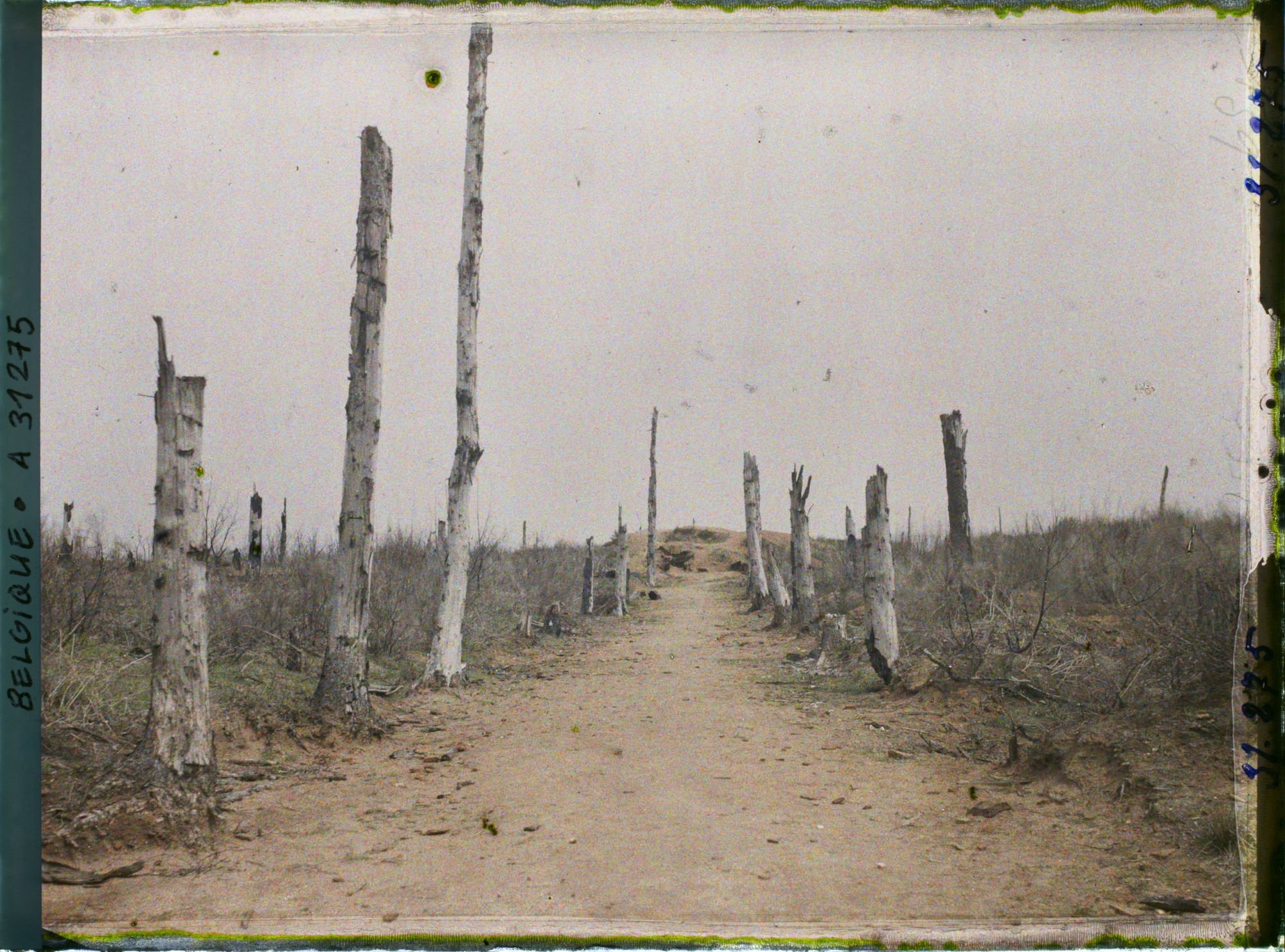 Image représentant Belgique, Kemmel, Le Chemin de Locre au Sommet du Kemmel