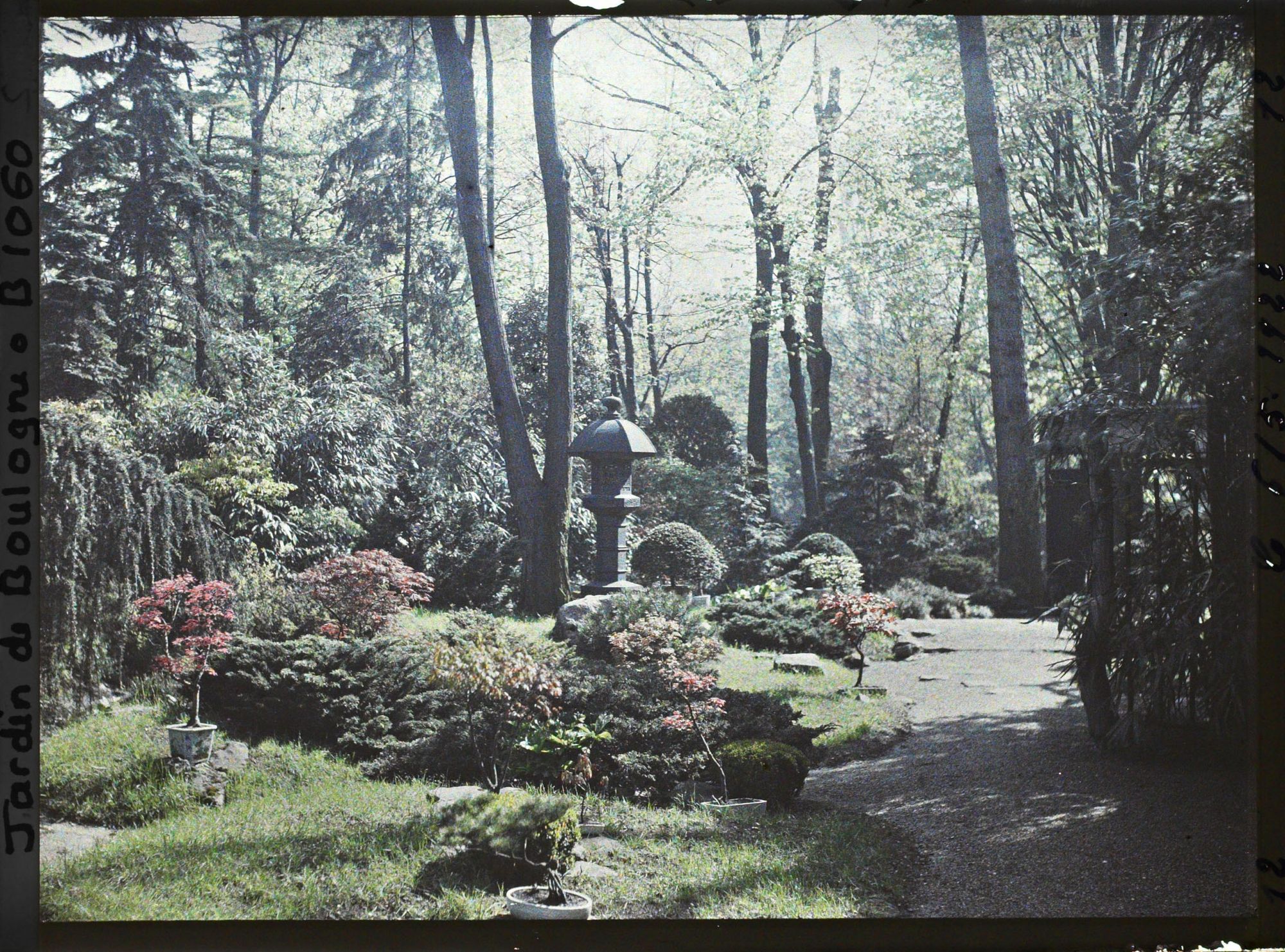 Image représentant Bonsaïs et lanterne près de la maison est du " village japonais " vus en direction du jardin anglais