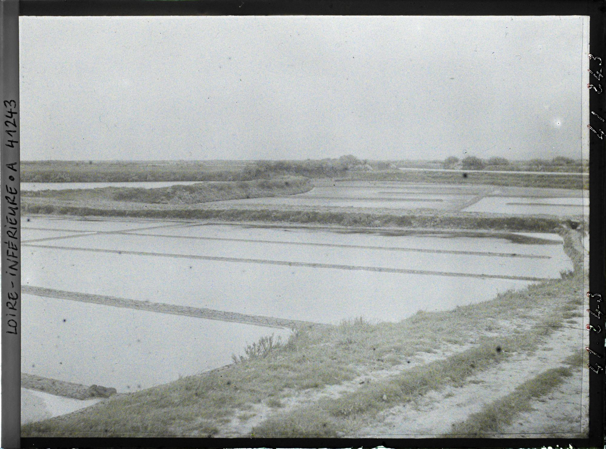 Image représentant Les marais salants