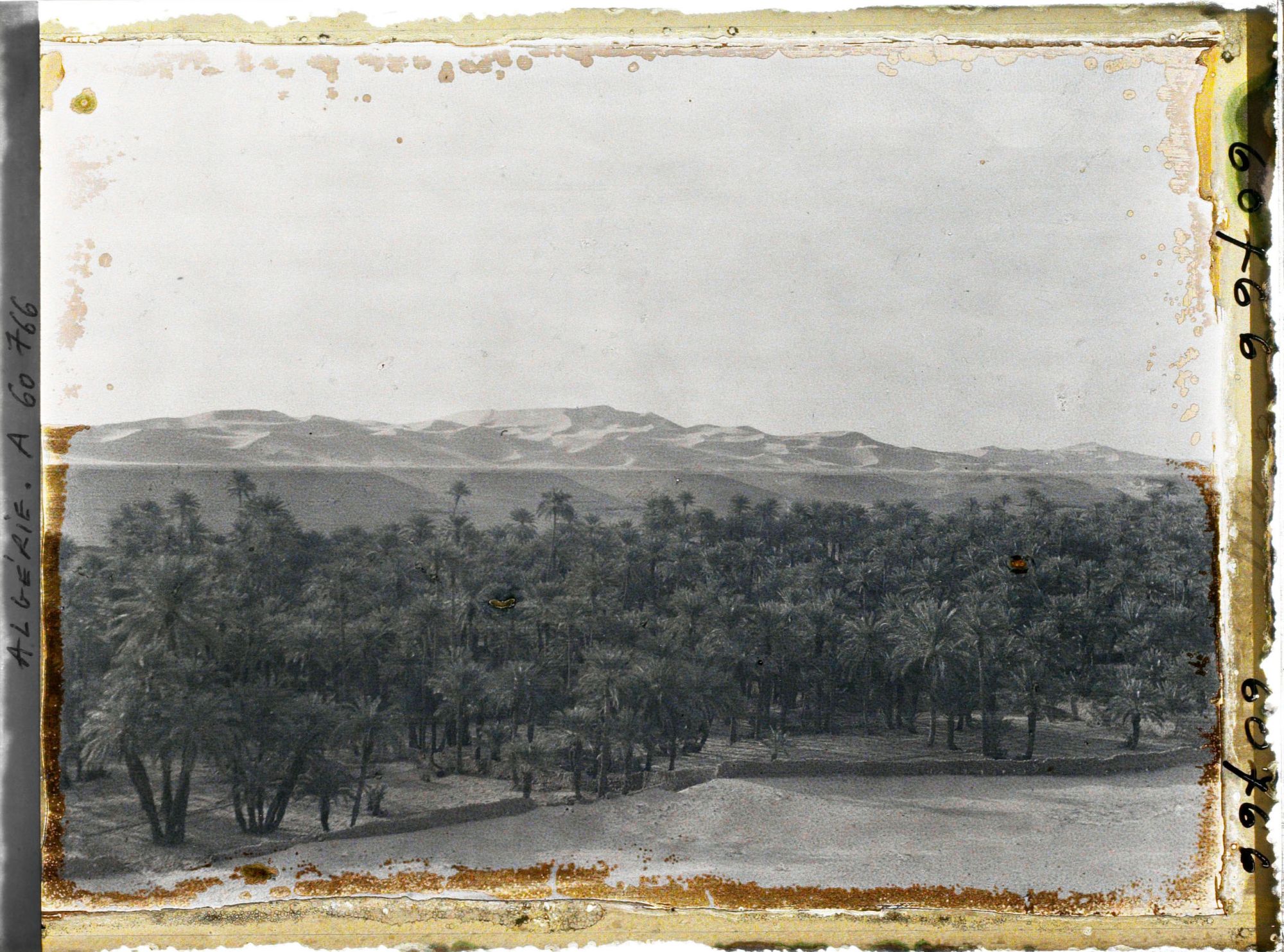 Image représentant L'oasis et le Grand Erg