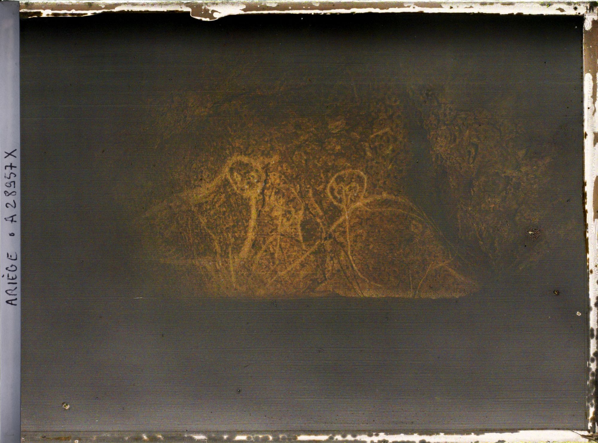 Image représentant La grotte des Trois-Frères : les chouettes