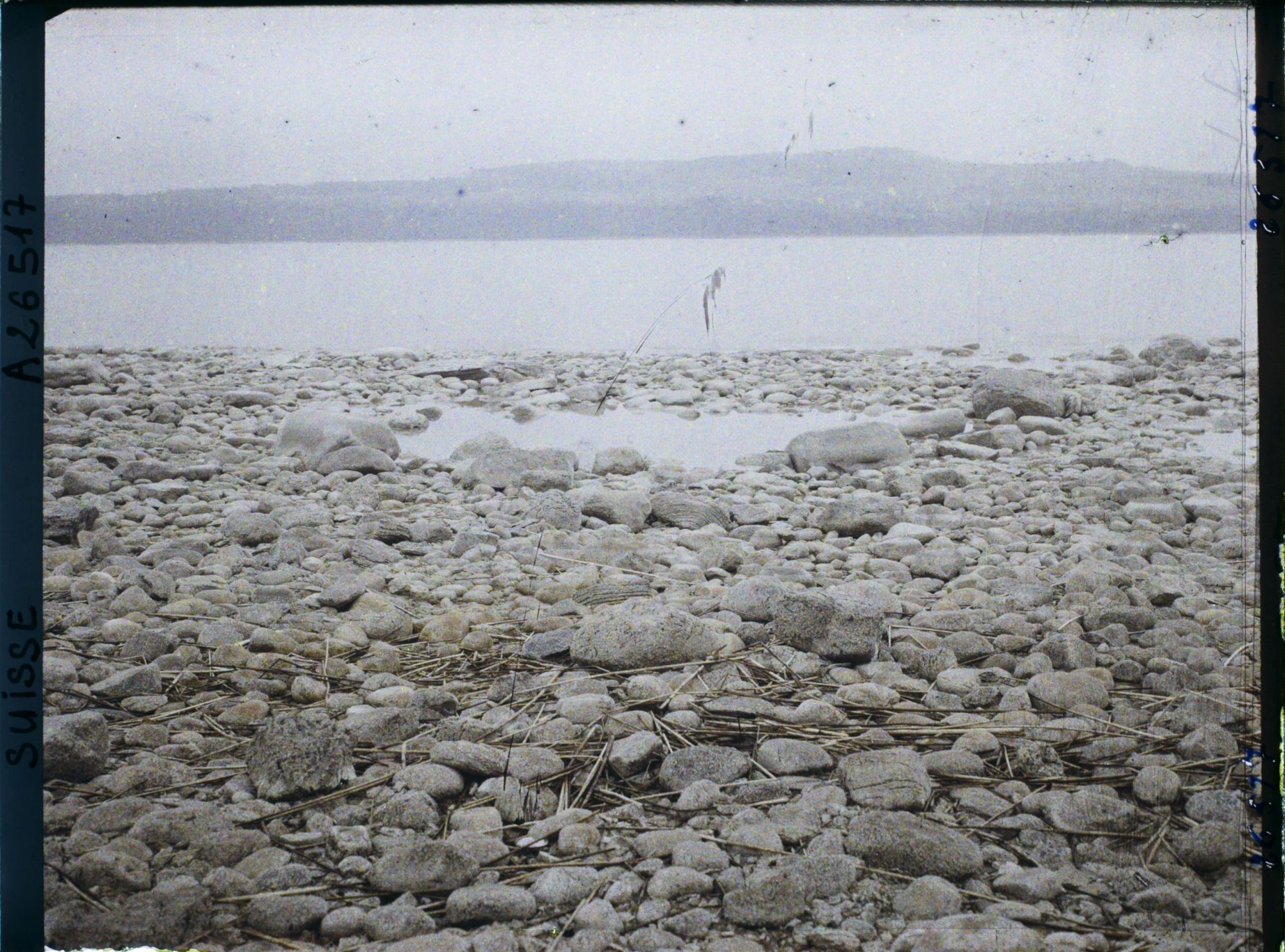 Image représentant Suisse, Grandson, Lac de Neuchâtel - Nouvel aspect des berges du lac au fond rive gauche