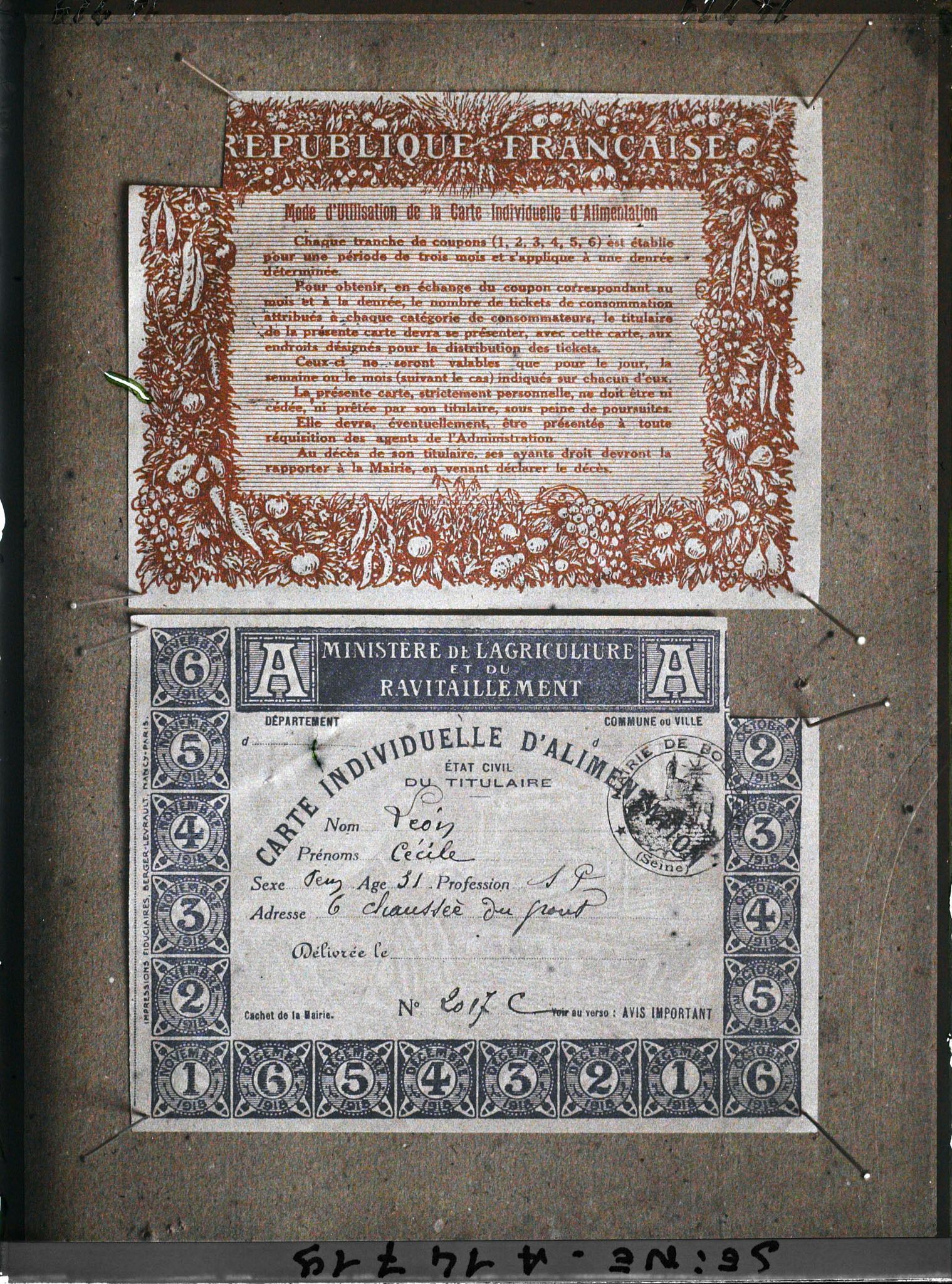 Image représentant Carte d'alimentation de Cécile Léon