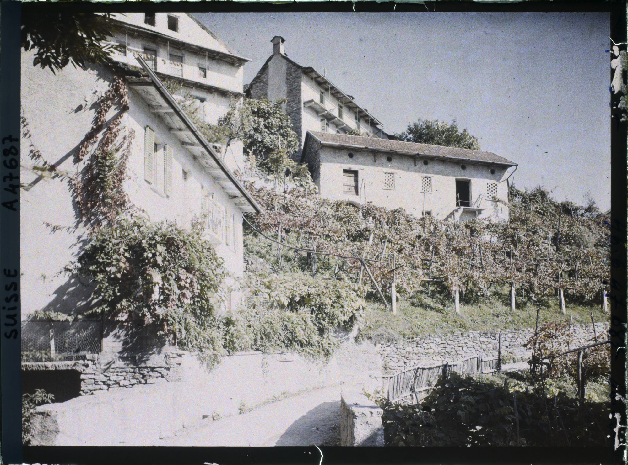 Image représentant L'entrée du village