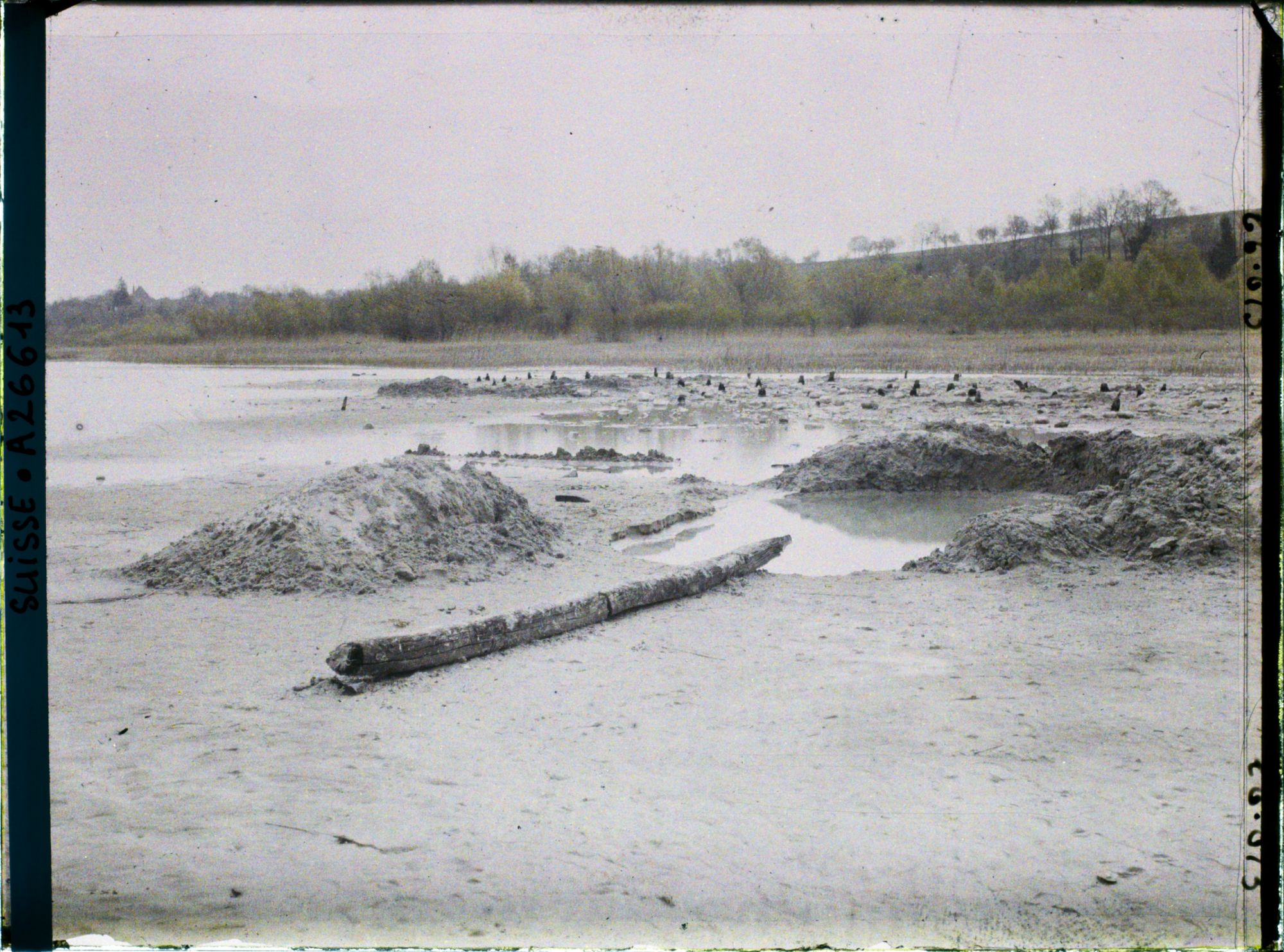 Image représentant Site palafittique préhistorique des Alpes, pieux en bois visibles lors de la baisse des eaux après la grande sécheresse de 1921 sur le lac de Neuchâtel