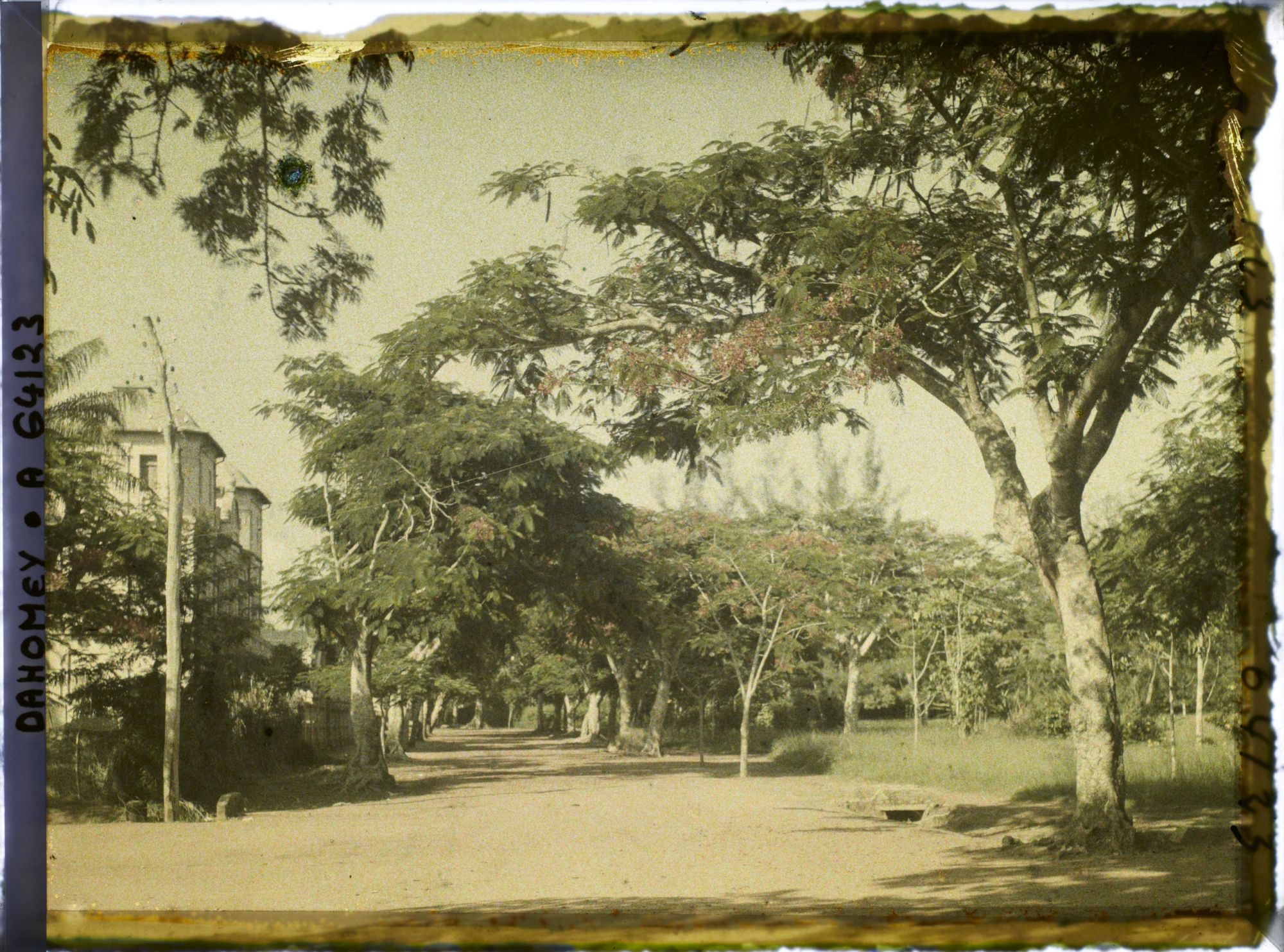 Image représentant Une allée de la Résidence du gouverneur