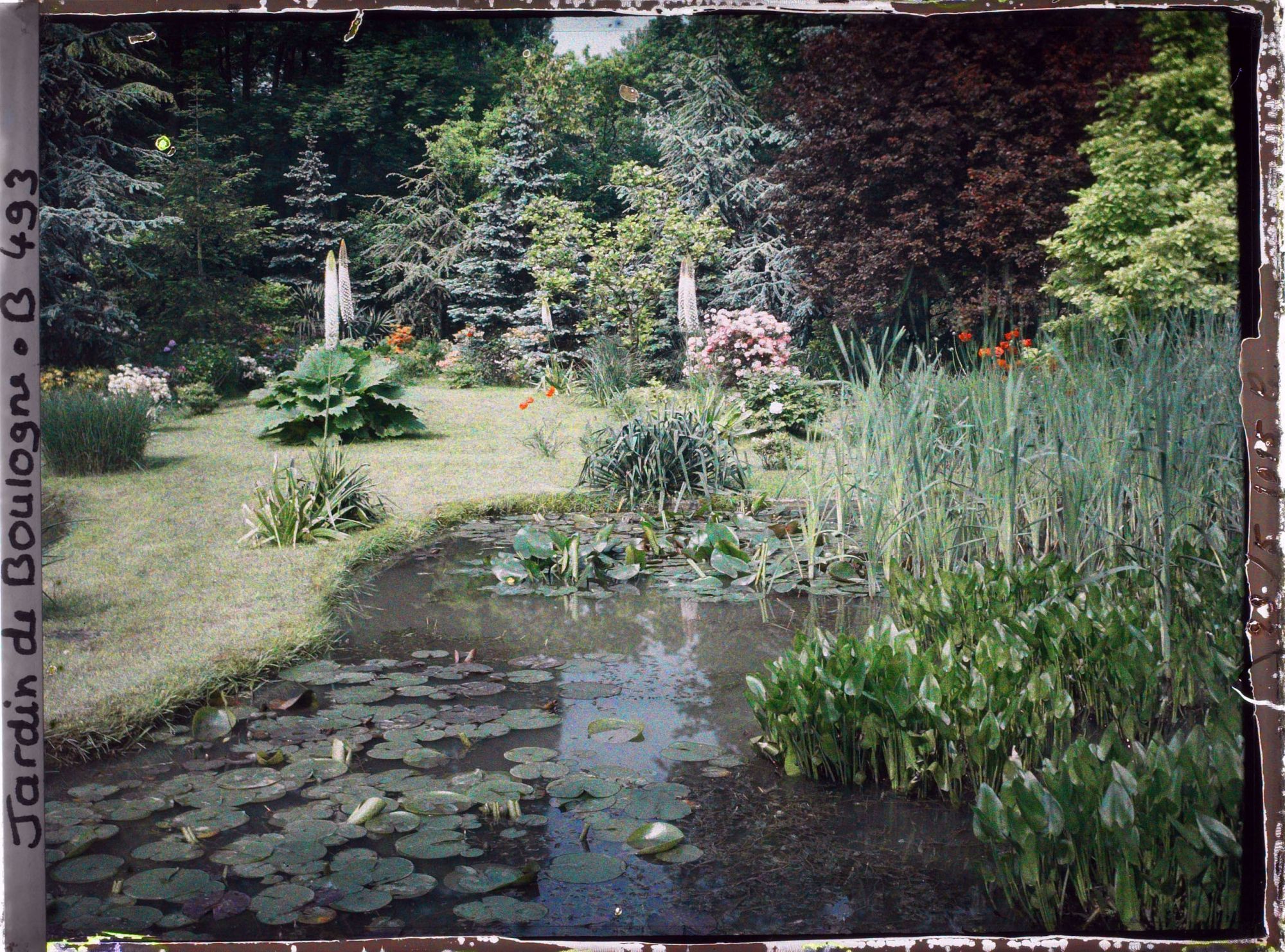 Image représentant " Étang " nord du marais, vu en direction du nord-ouest