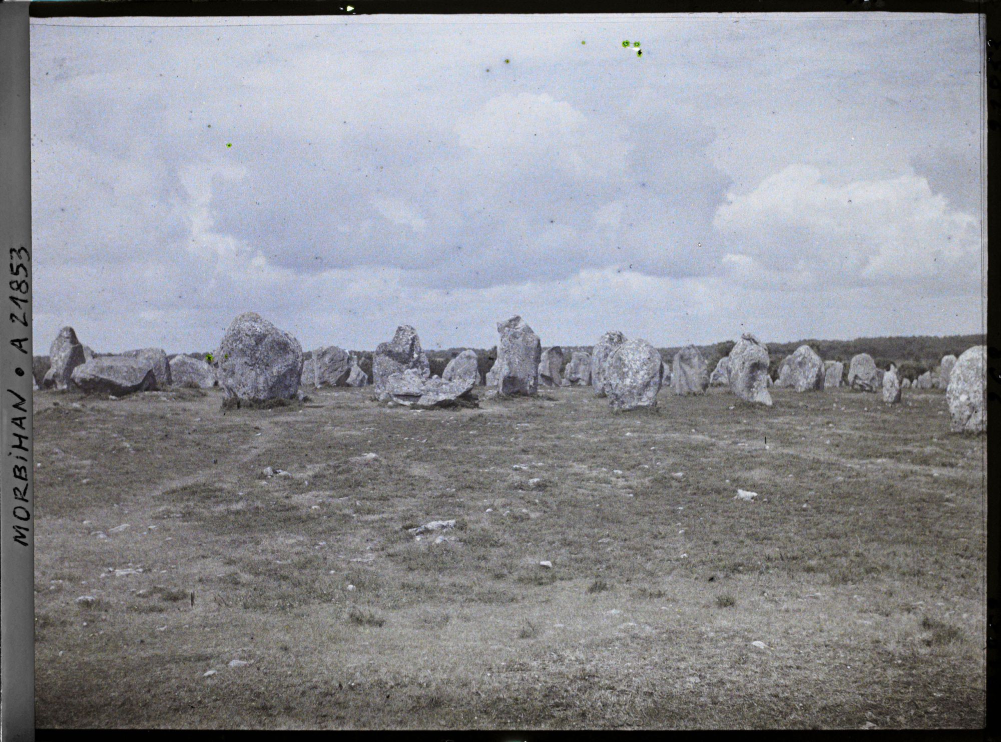 Image représentant Alignements de menhirs