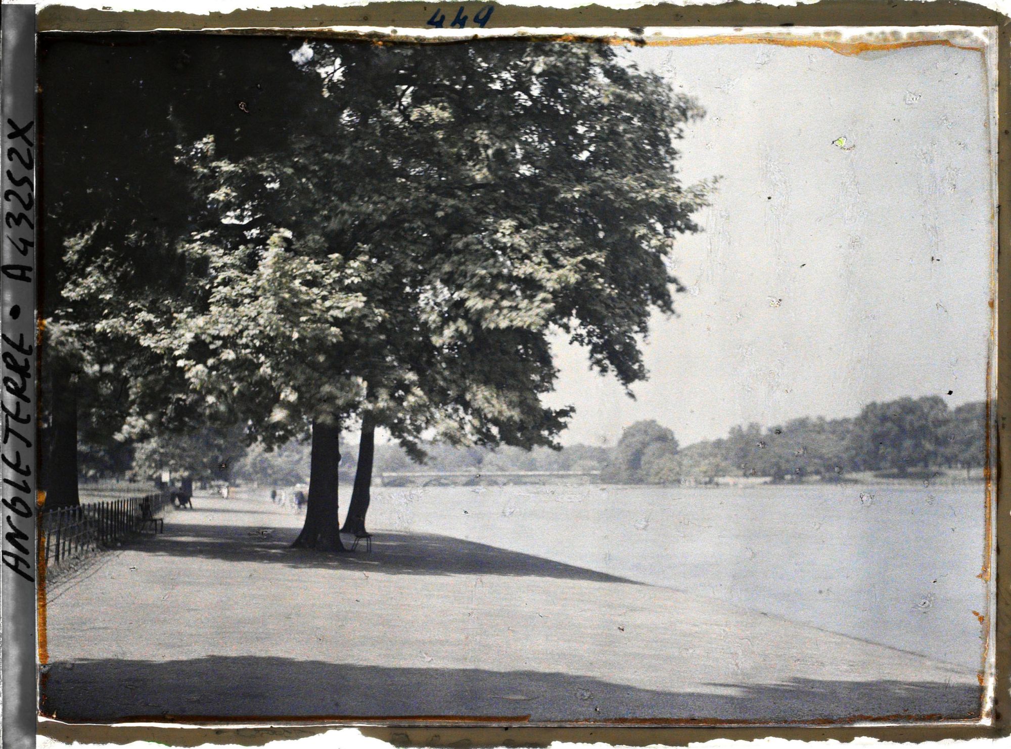 Image représentant La serpentine d'Hyde Parc