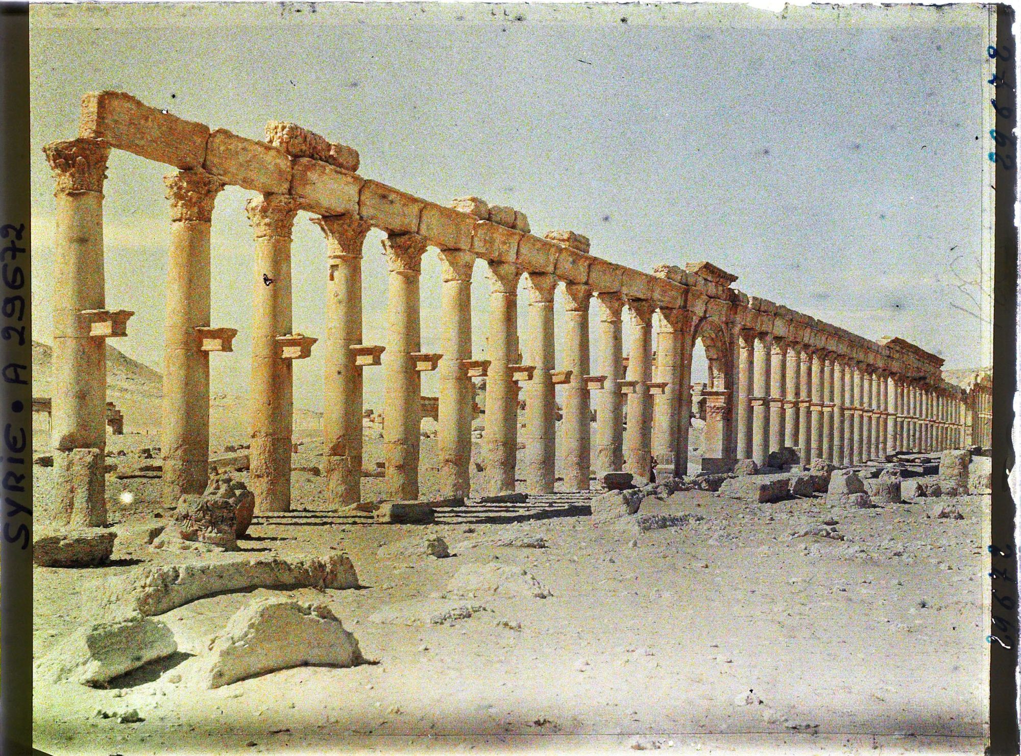 Image représentant La grande colonnade