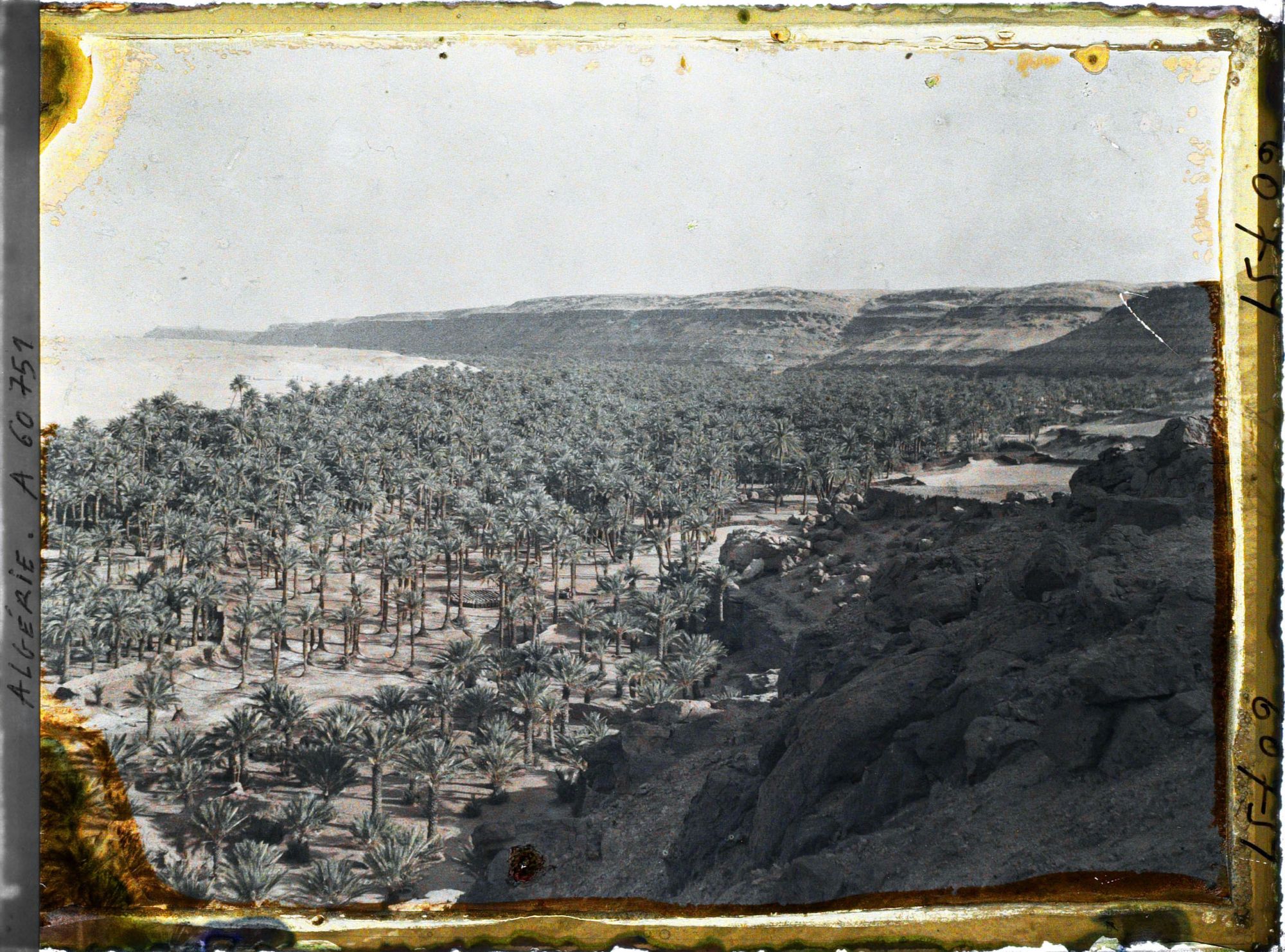 Image représentant Vue de l'oasis vers l'ouest