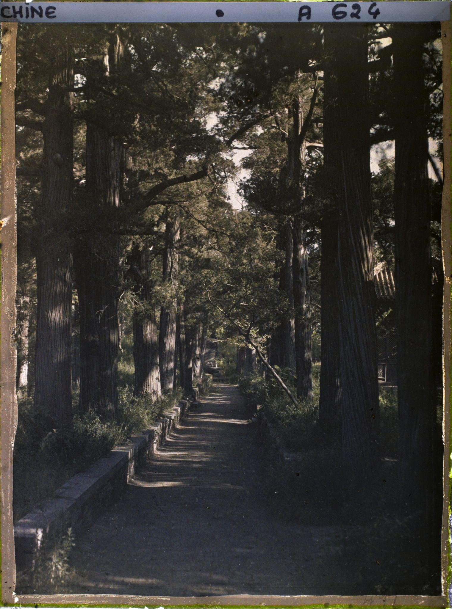 Image représentant Konglin, la nécropole de la famille de Confucius