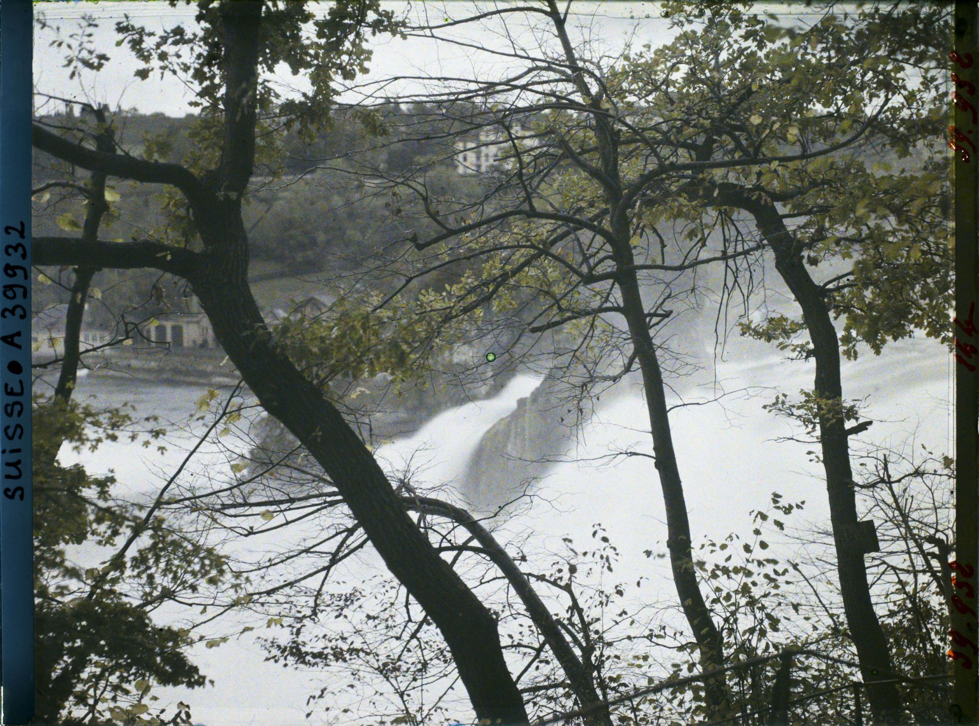 Image représentant Les chutes du Rhin vues du château de Laufen