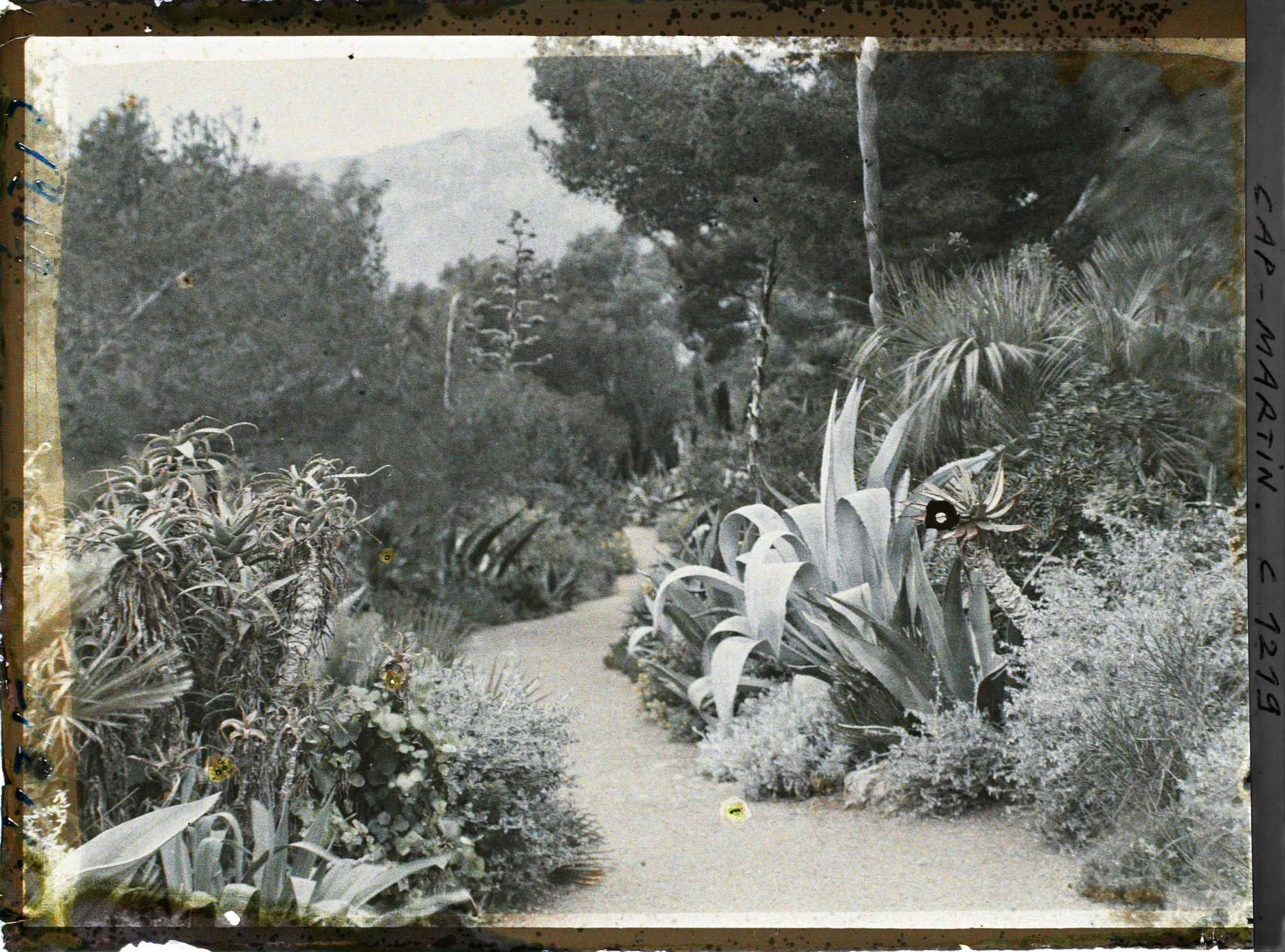 Image représentant coucher de Soleil