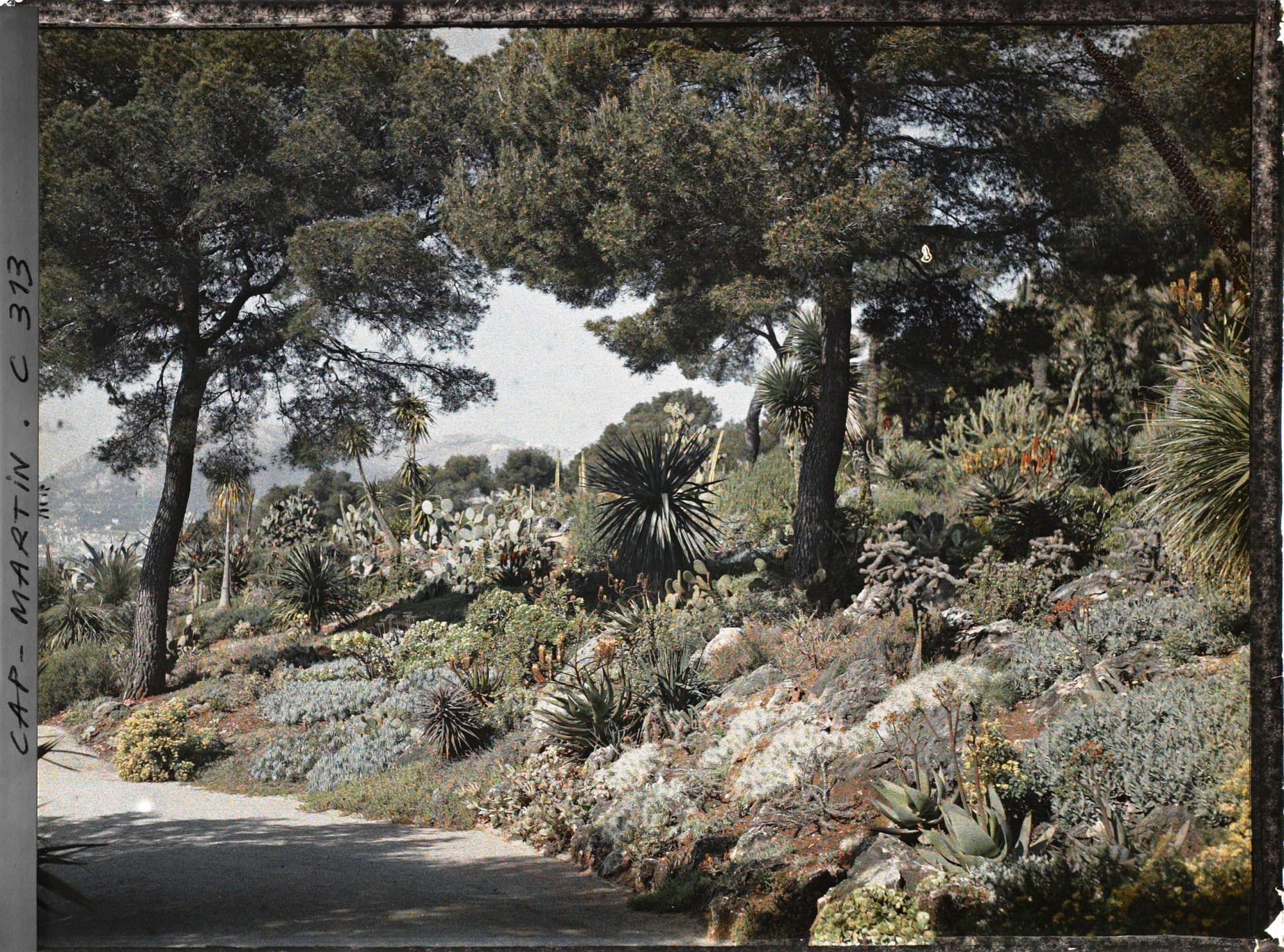 Image représentant Cap-Martin - Le Jardin
