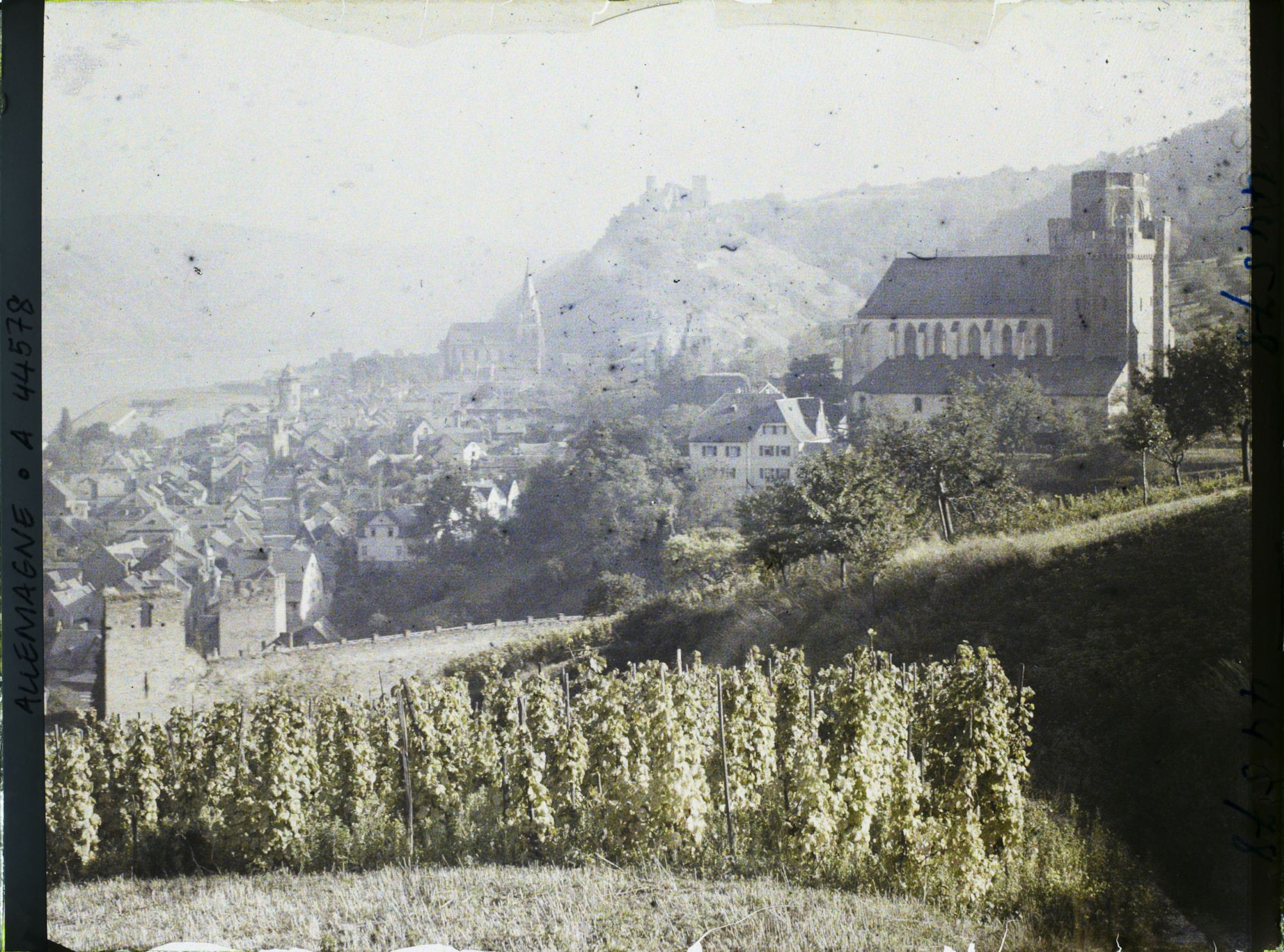 Image représentant Allemagne, Oberwesel, Panorama vers St Martin et le Rhin
