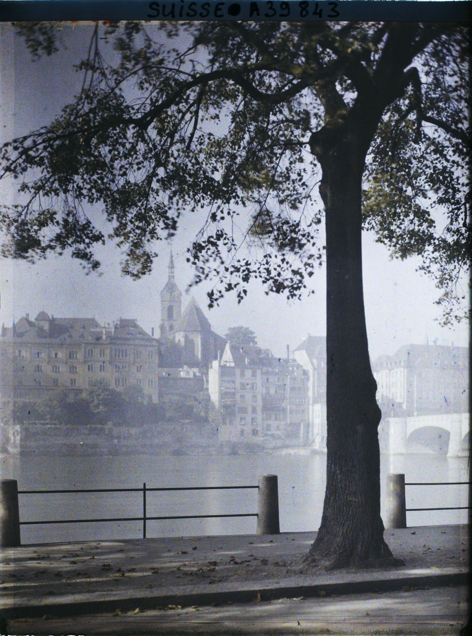 Image représentant Le Rhin, le pont du Milieu et l'église Saint-Martin