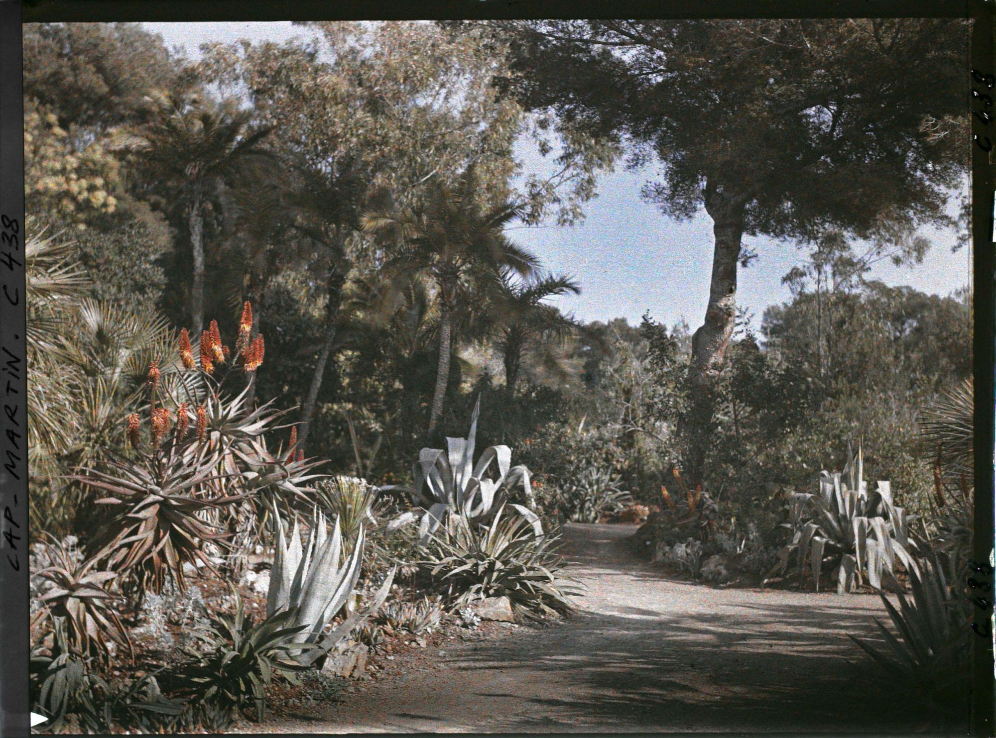 Image représentant Cap Martin Le Jardin