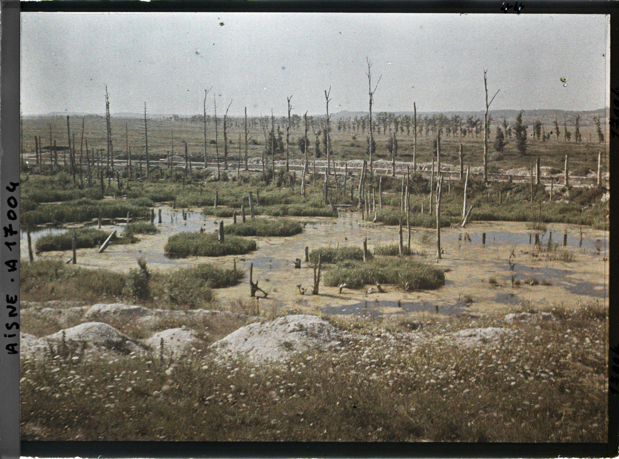 Image représentant France, Les Marais de la Cote 108 et les arbres déchiquetés