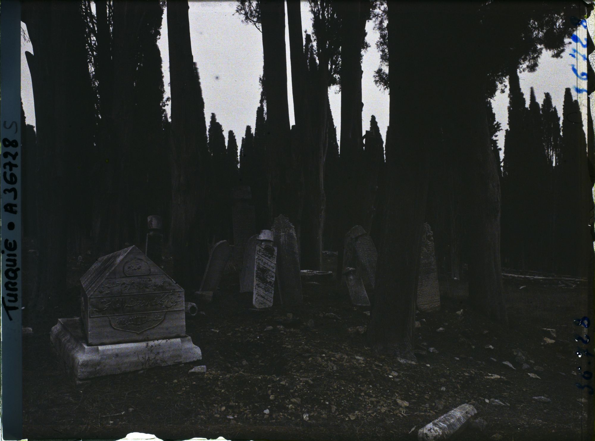 Image représentant Turquie, Scutari d'Asie, Cimetière = Tombes sous les Cyprès