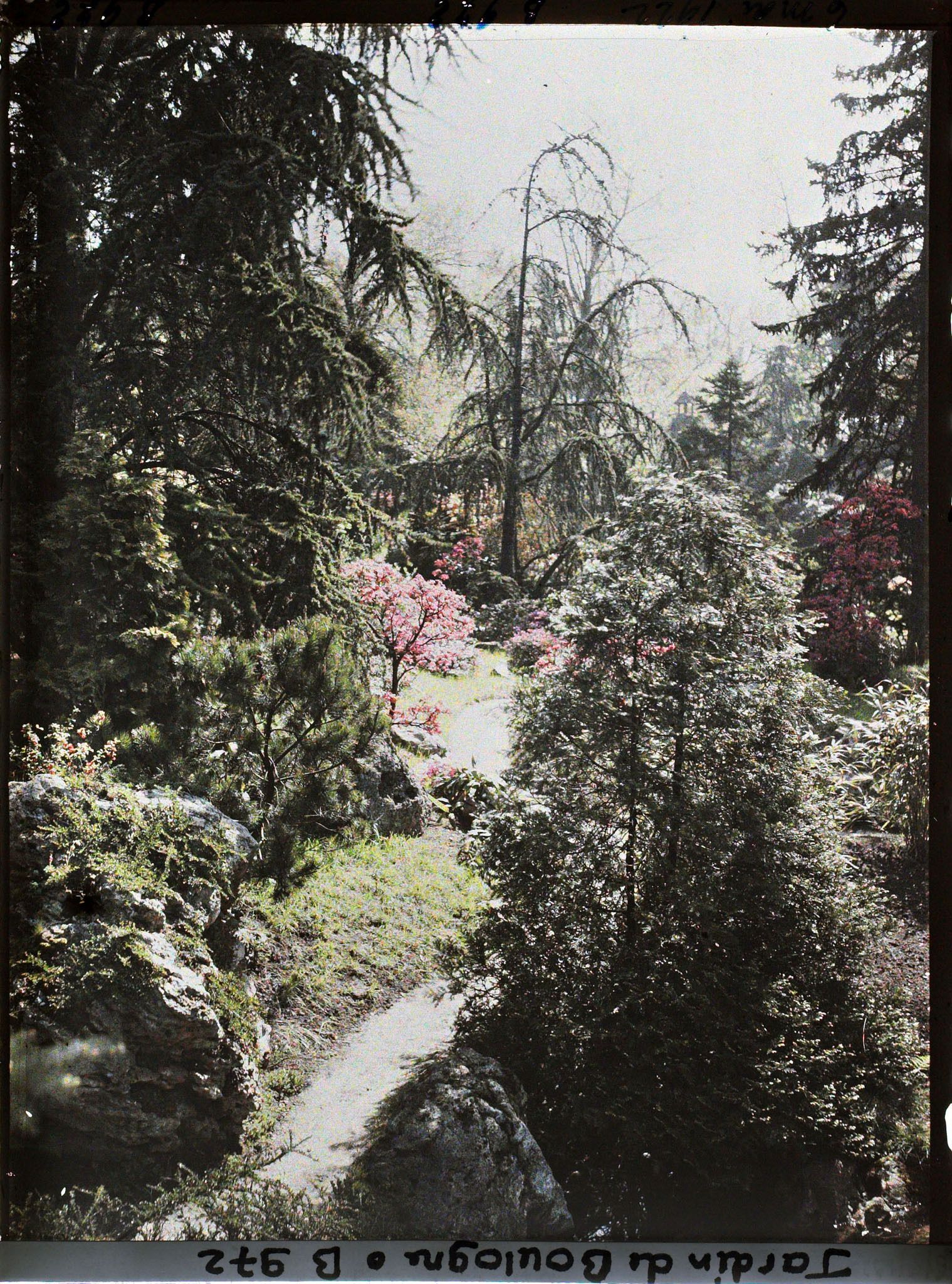 Image représentant Chemin du " sanctuaire japonais " menant au " village japonais ", encadré par roches et arbres