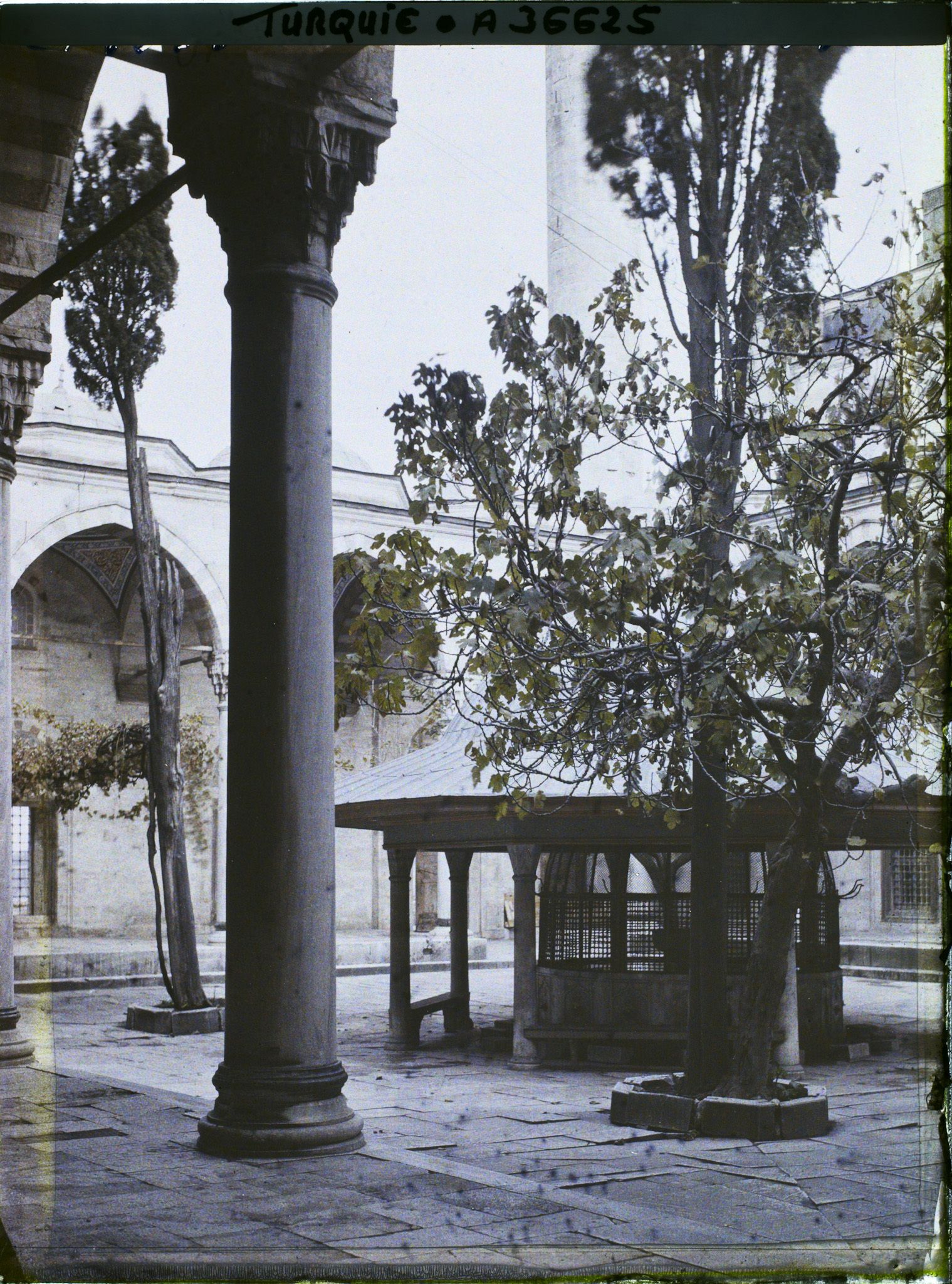 Image représentant Turquie, Constantinople , Cour de la Mosquée du Sultan Selim 1er Fontaine aux ablutions
