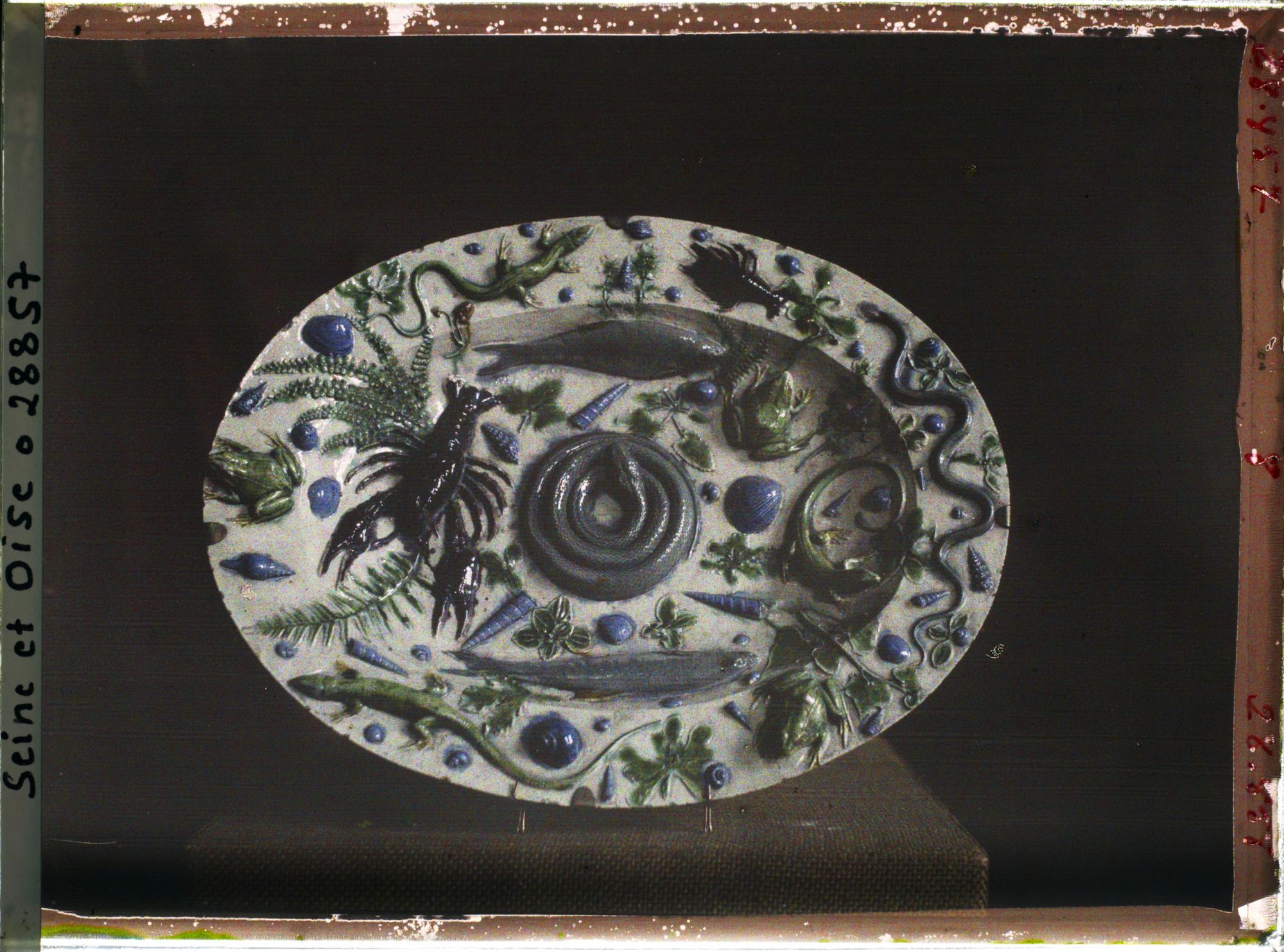 Image représentant Plat de céramique de Bernard Palissy des collections du musée de Sèvres