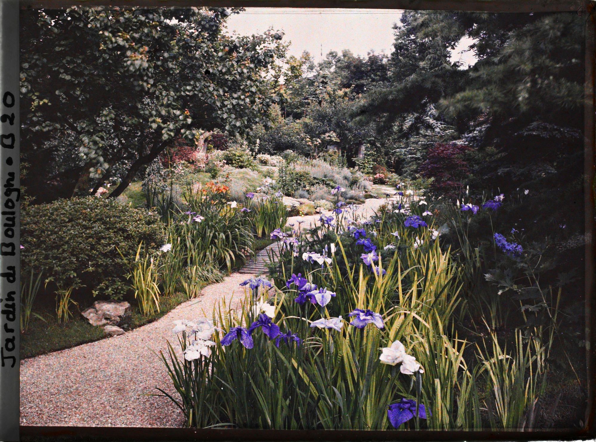Image représentant Chemin du " sanctuaire japonais " bordé d'iris, menant vers la porte du " village japonais "