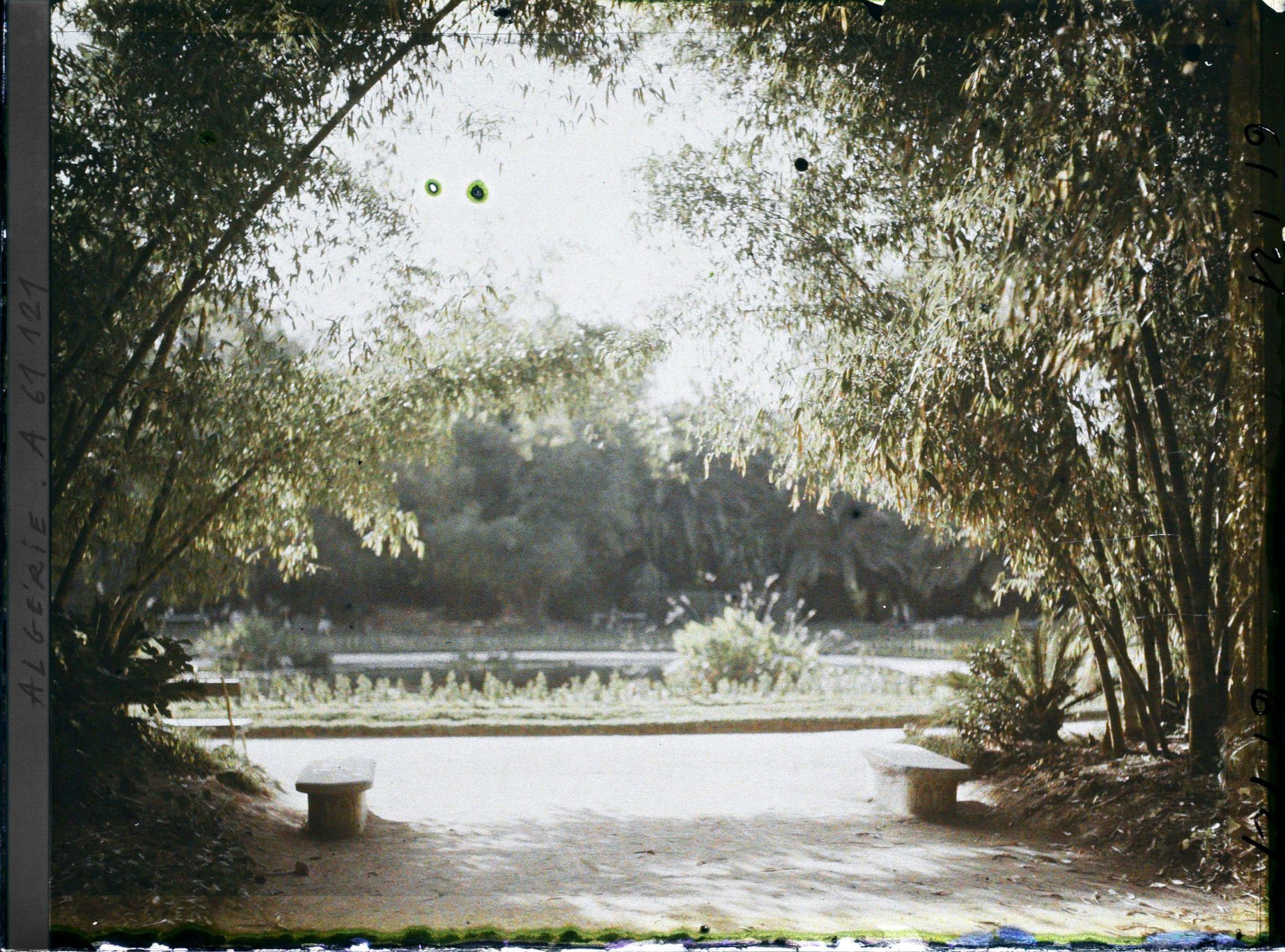 Image représentant Le jardin Français dans le jardin d'Essais