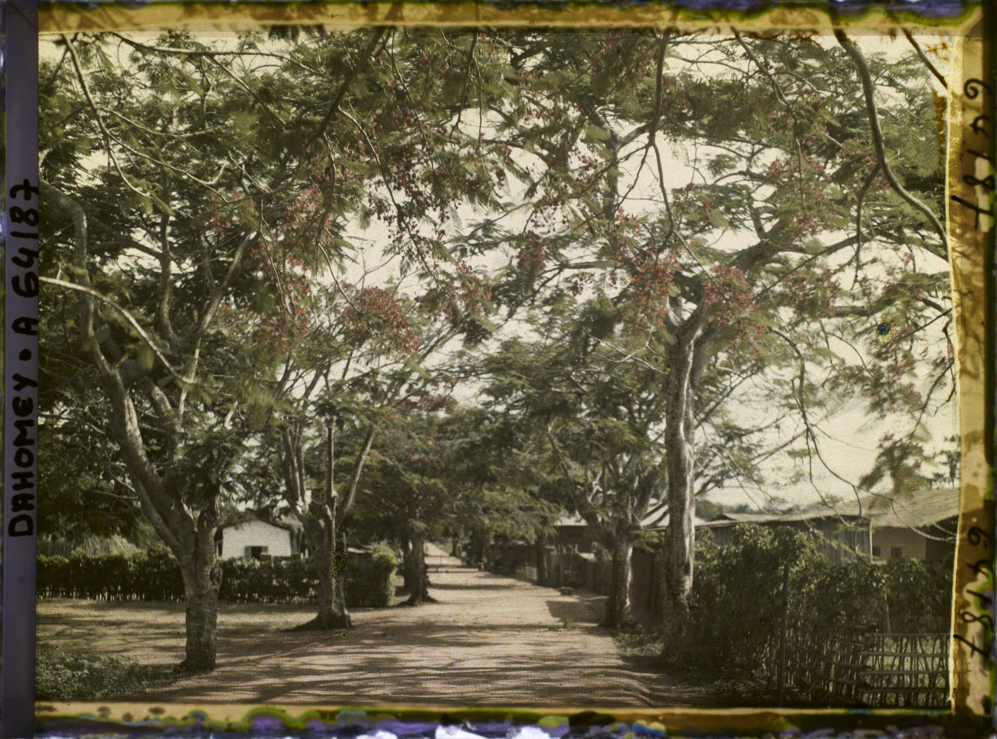 Image représentant La route d'Adjohoun