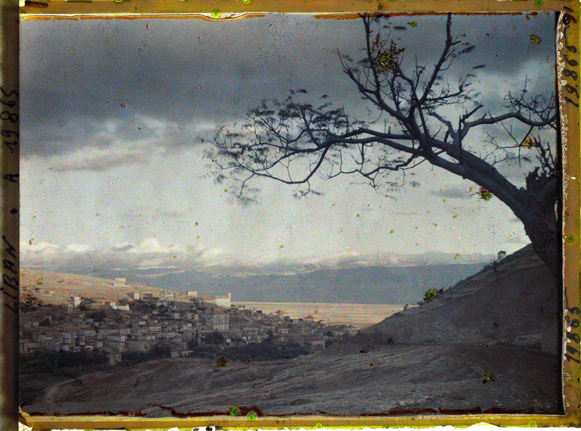 Image représentant La ville et la plaine de Bekaa