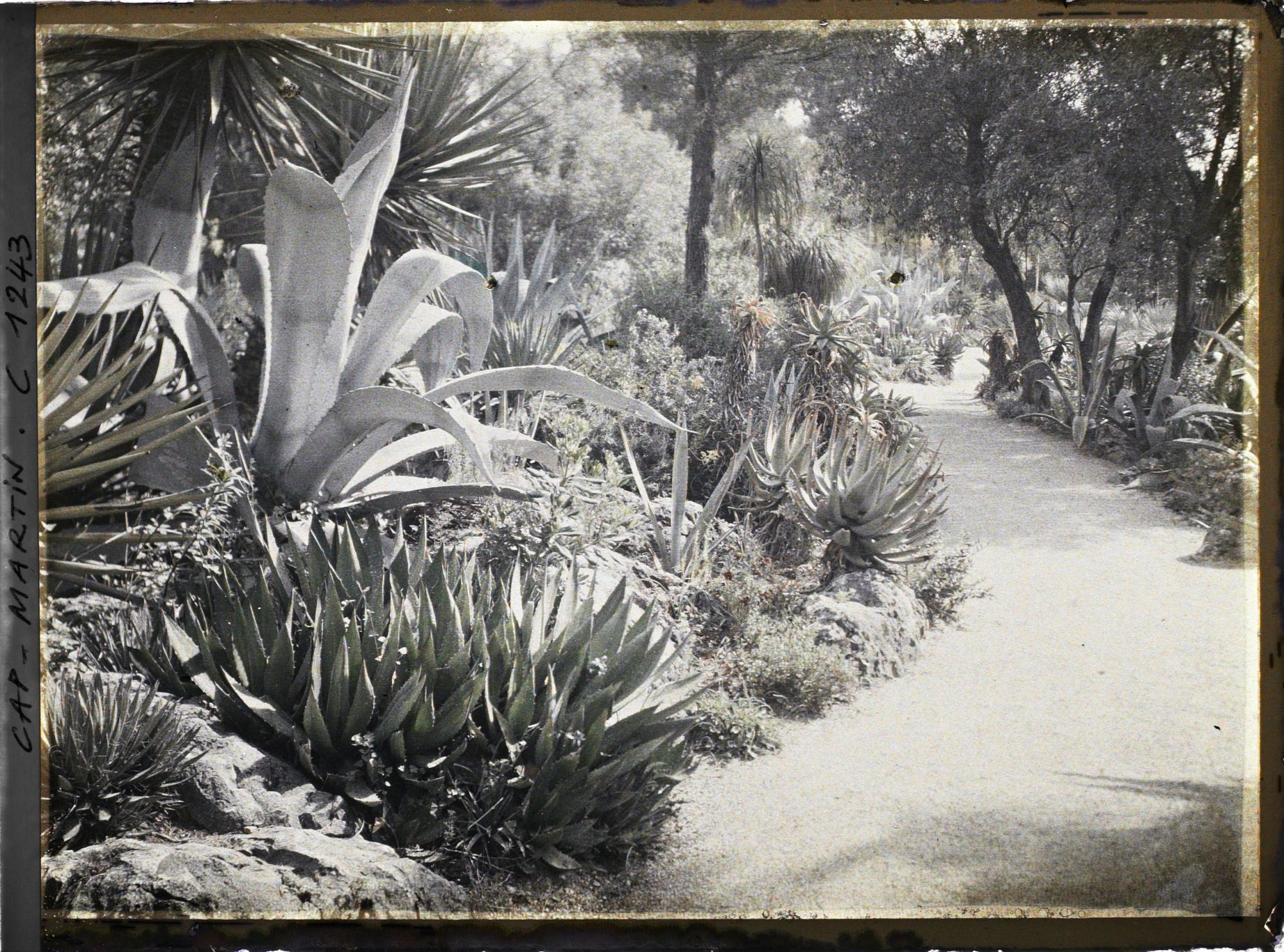 Image représentant le jardin